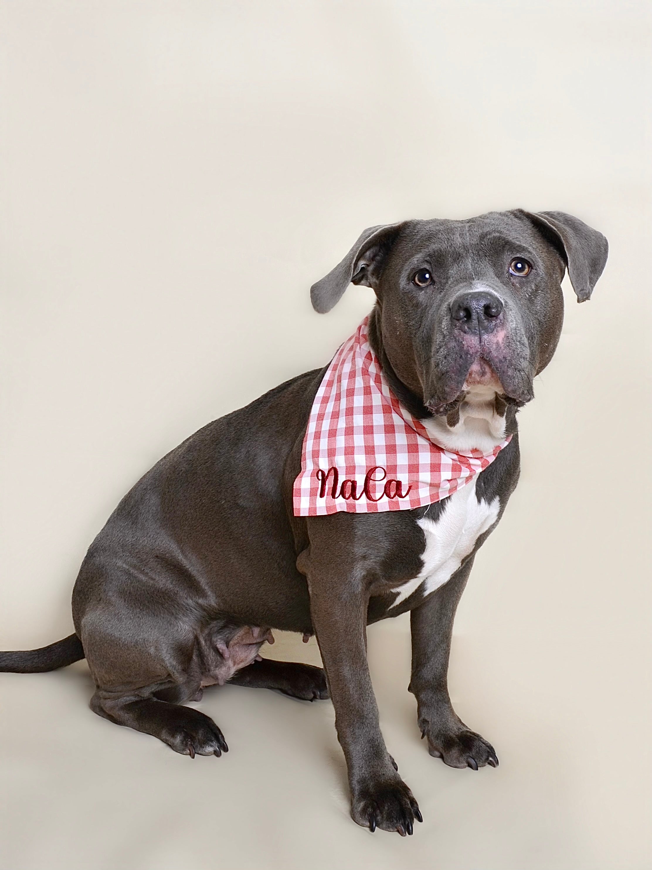 Bandana personnalisable - Rouge