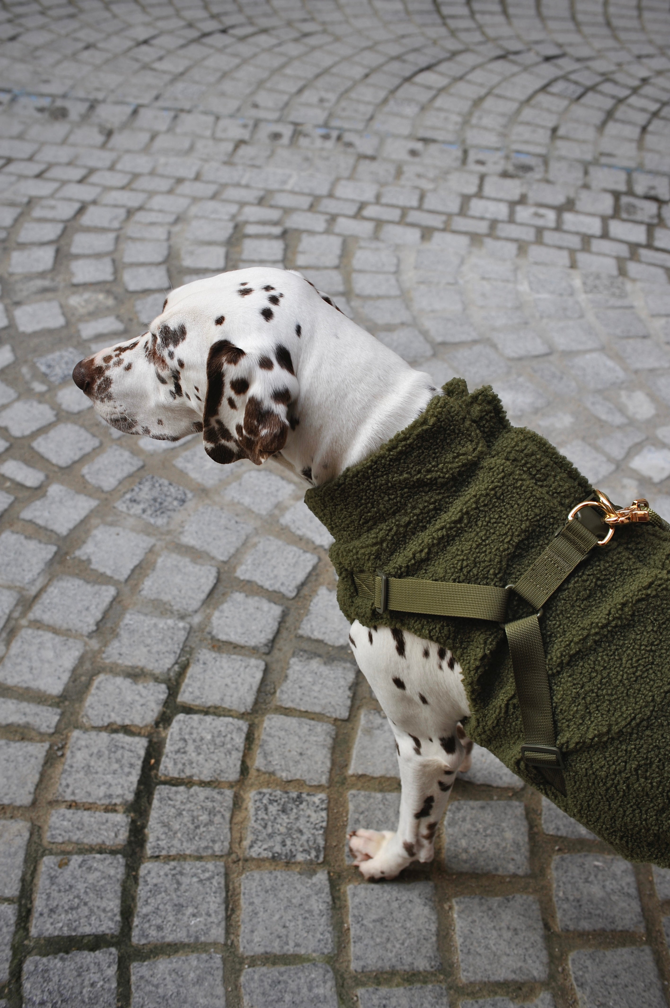 Accessoires