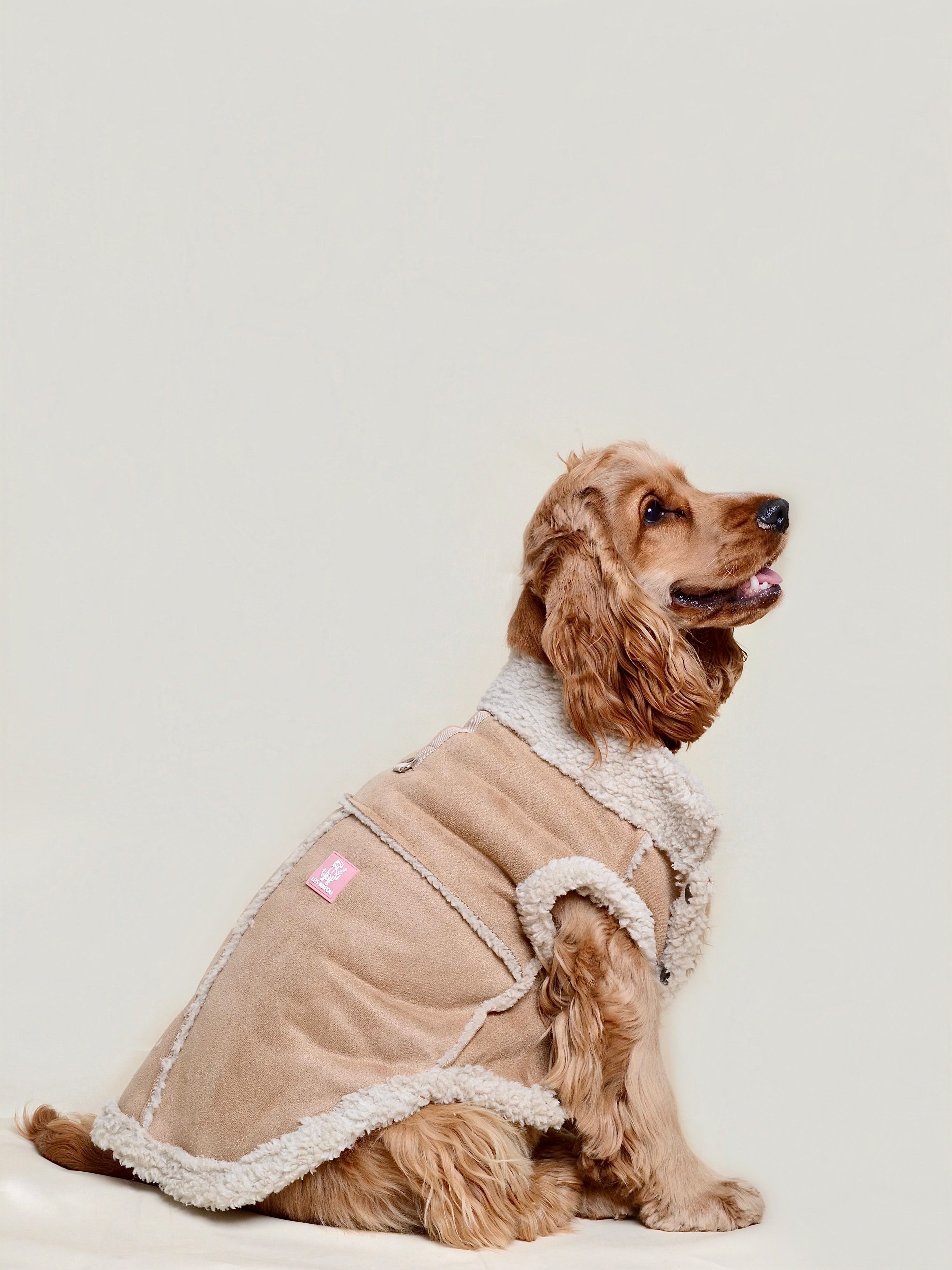 Manteau pour chien - Camel (spécial petit chien)