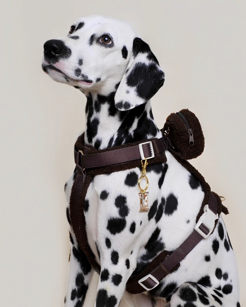Harnais moumoute chien + sac à dos - Chocolat