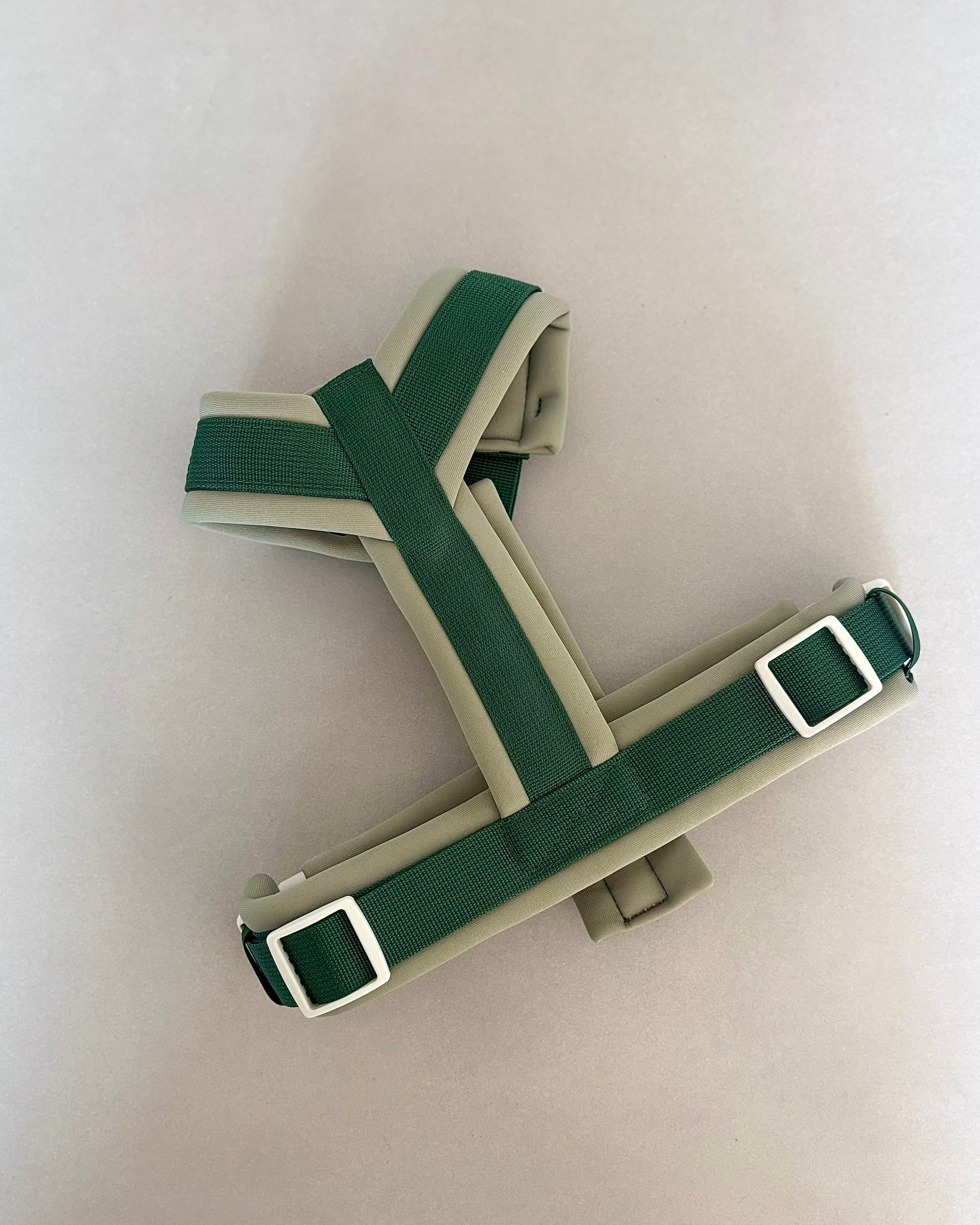 Harnais pour chien - Vert foncé