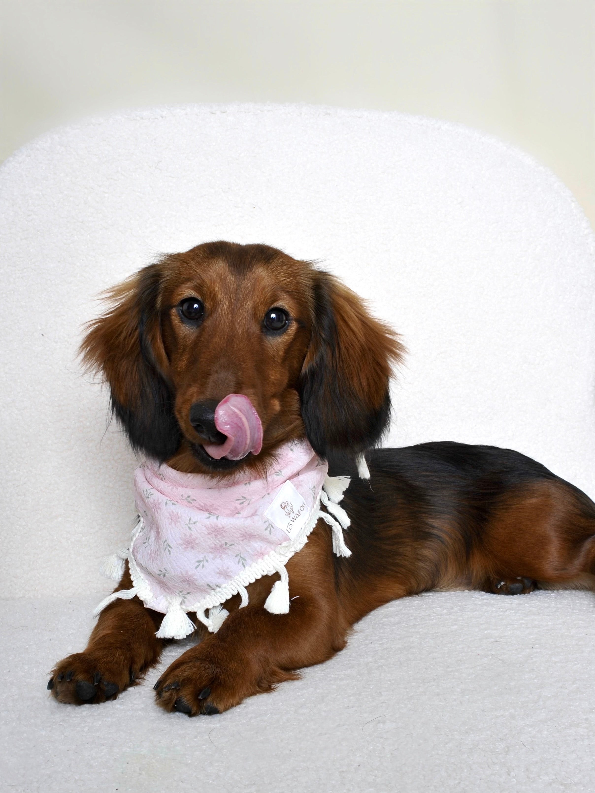 Bandana pour chien - Motif fleurs