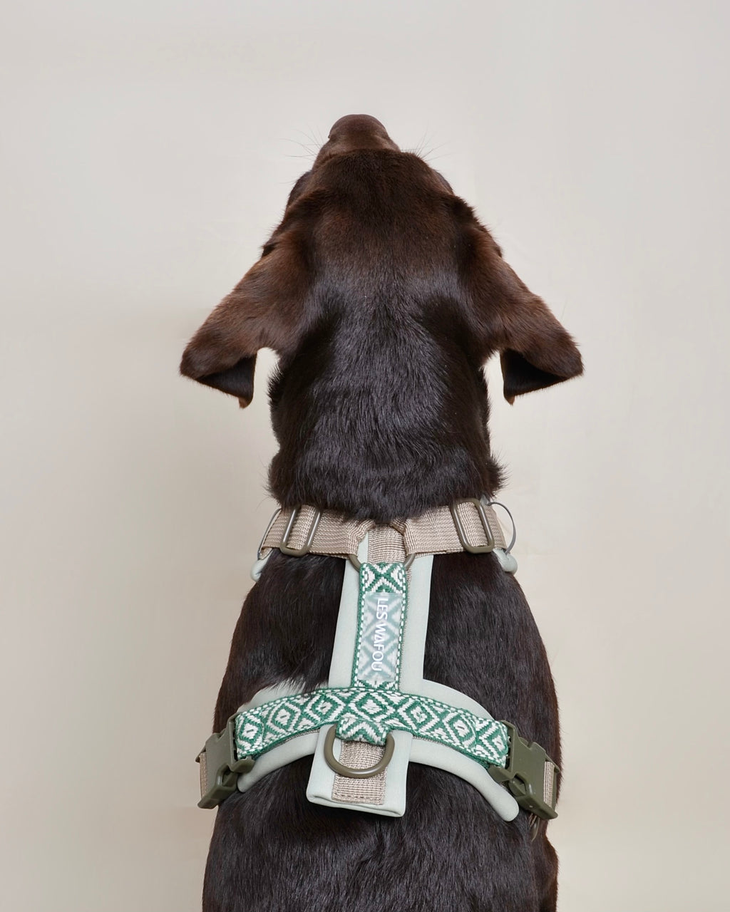 Harnais pour chien - Vert taupe