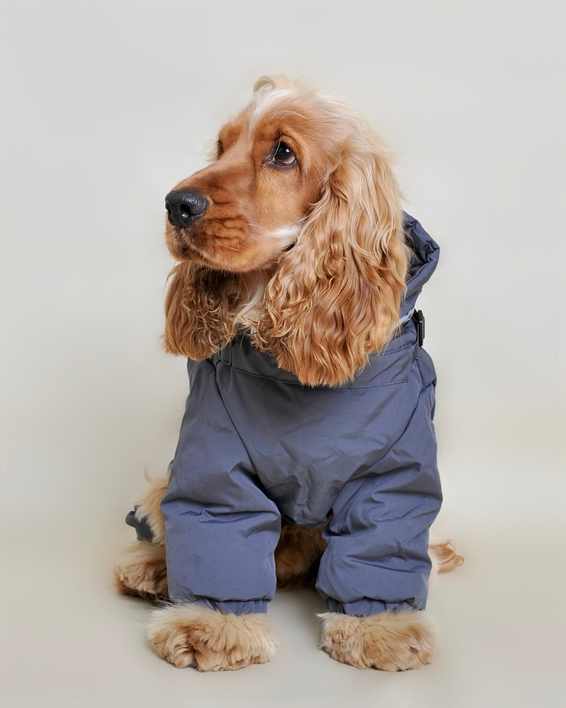 Doudoune pour chien - Noir (petit et moyen chien)