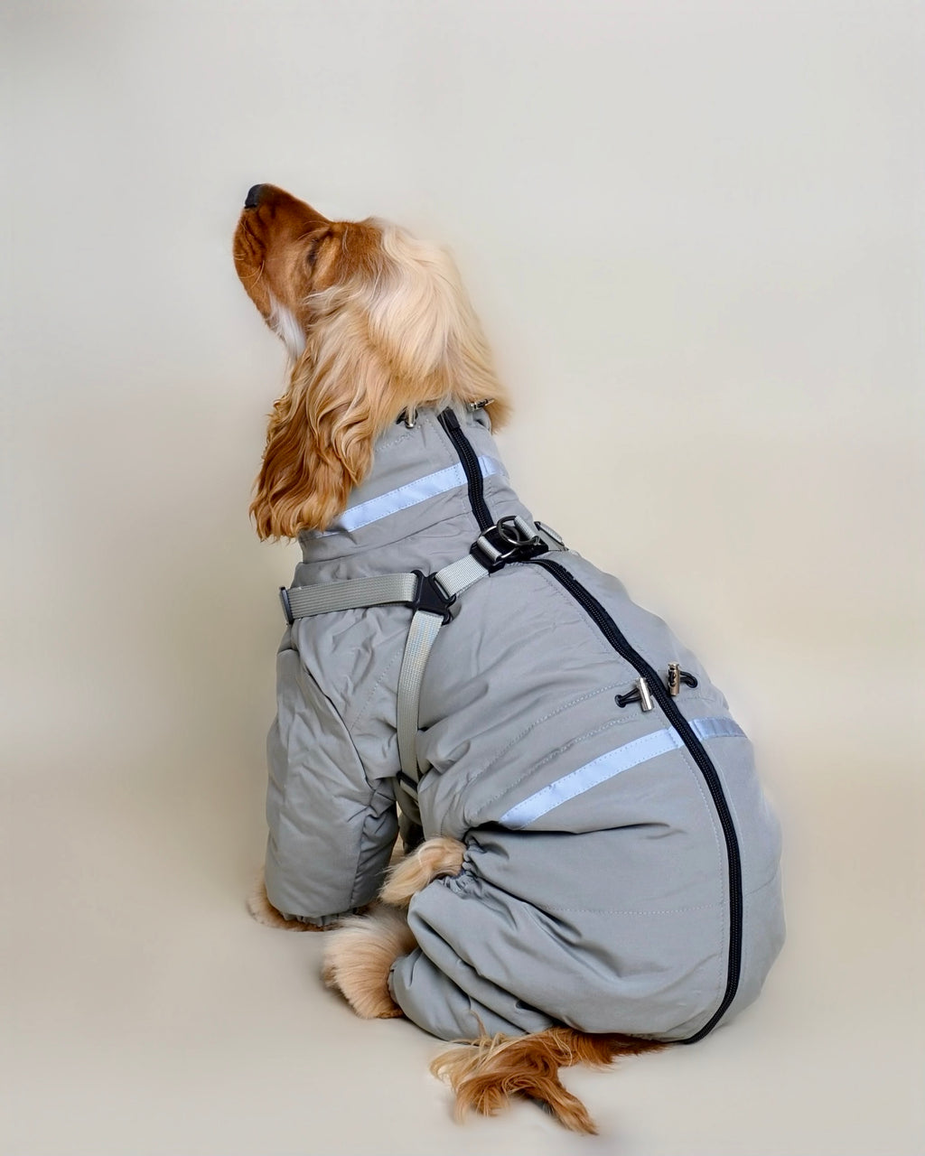 Doudoune pour chien - Vert eau (petit et moyen chien)