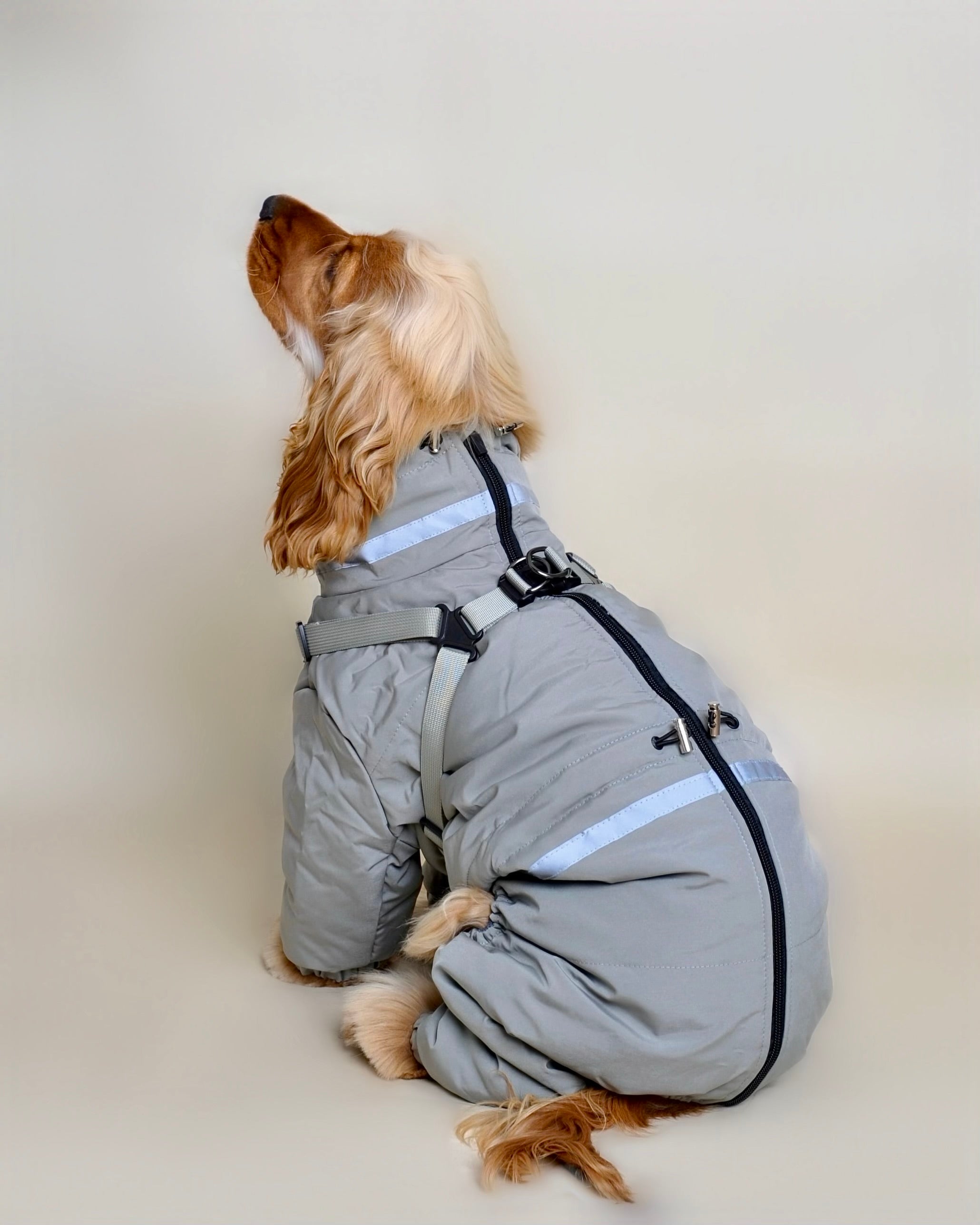 Doudoune pour chien - Vert eau (petit et moyen chien)