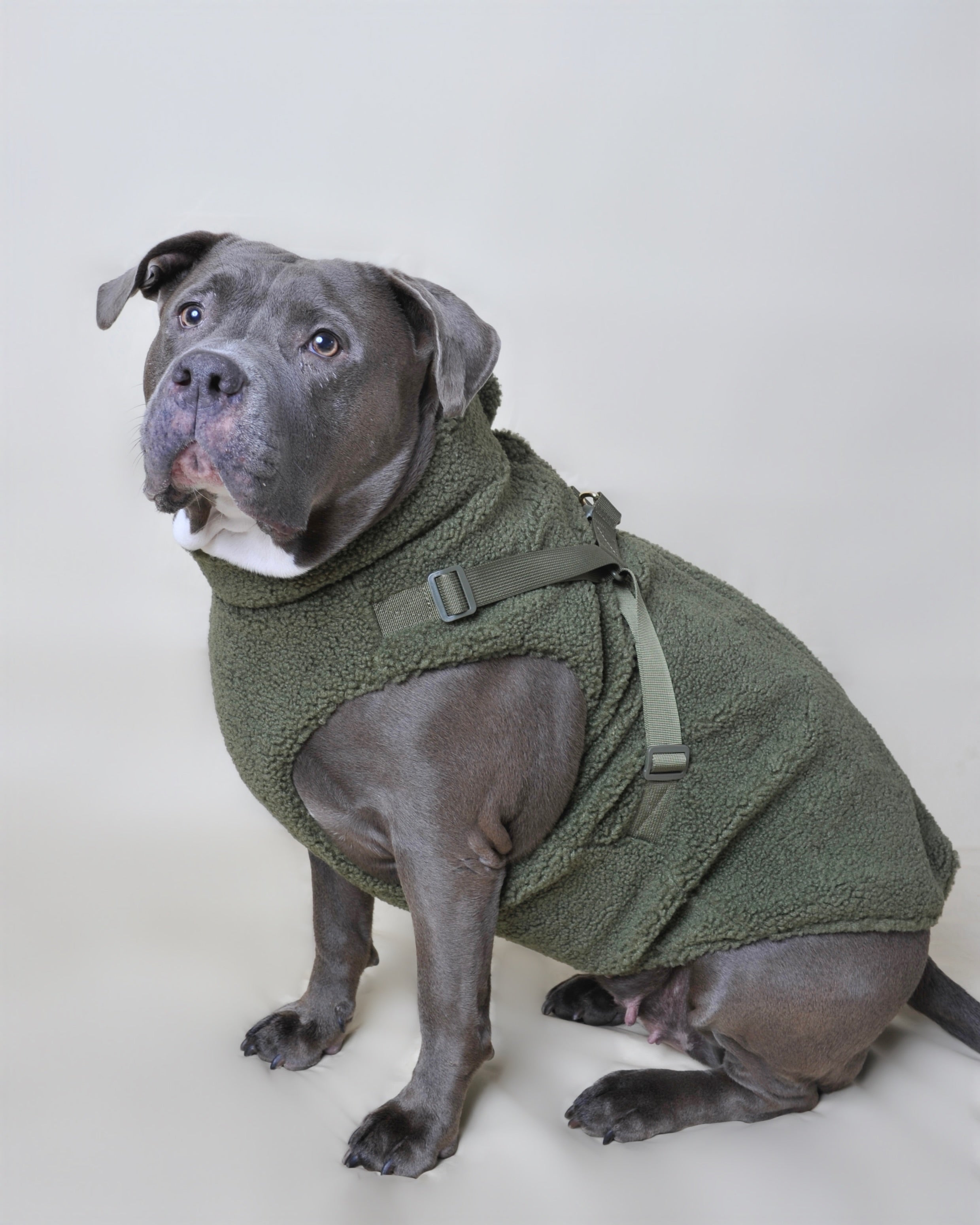 Manteau moumoute pour chien - Vert