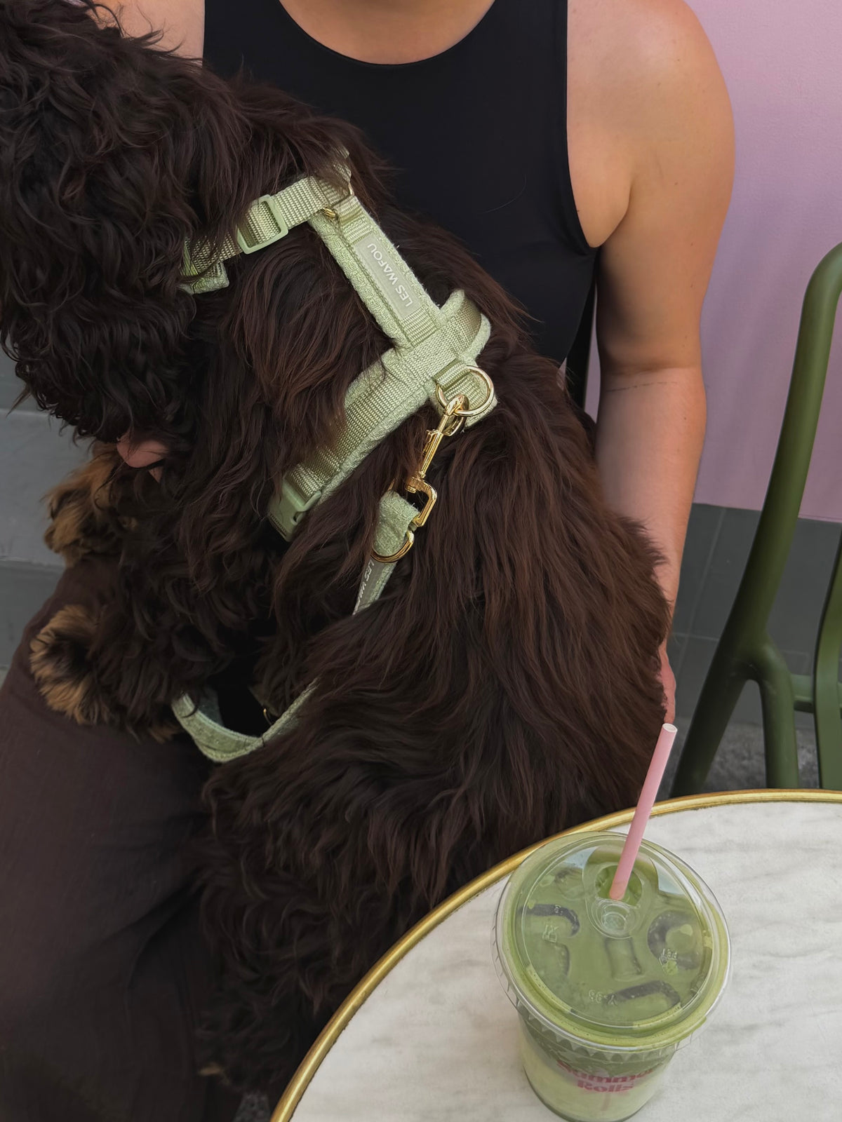 Harnais tweed chien - Pistache