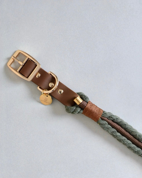 Collier tressé pour chien - Vert kaki