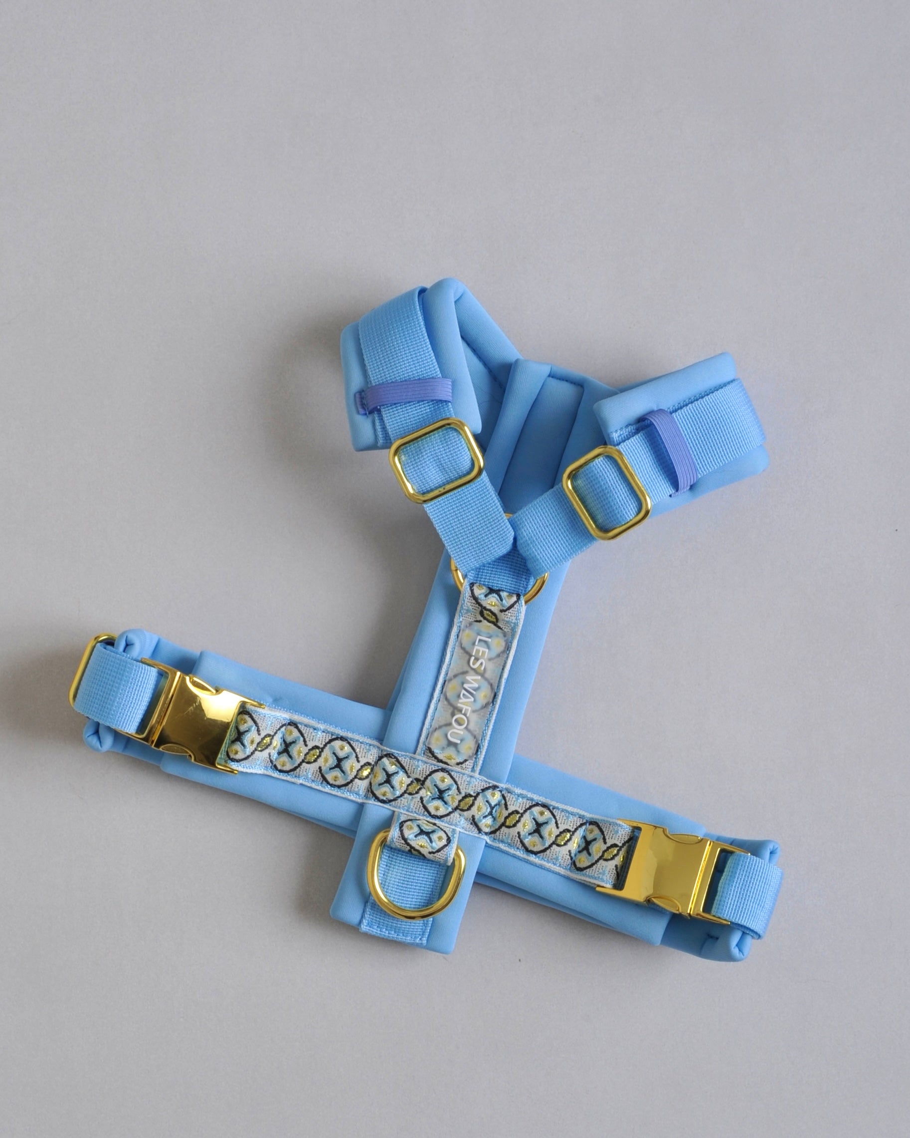 Harnais pour chien - Bleu