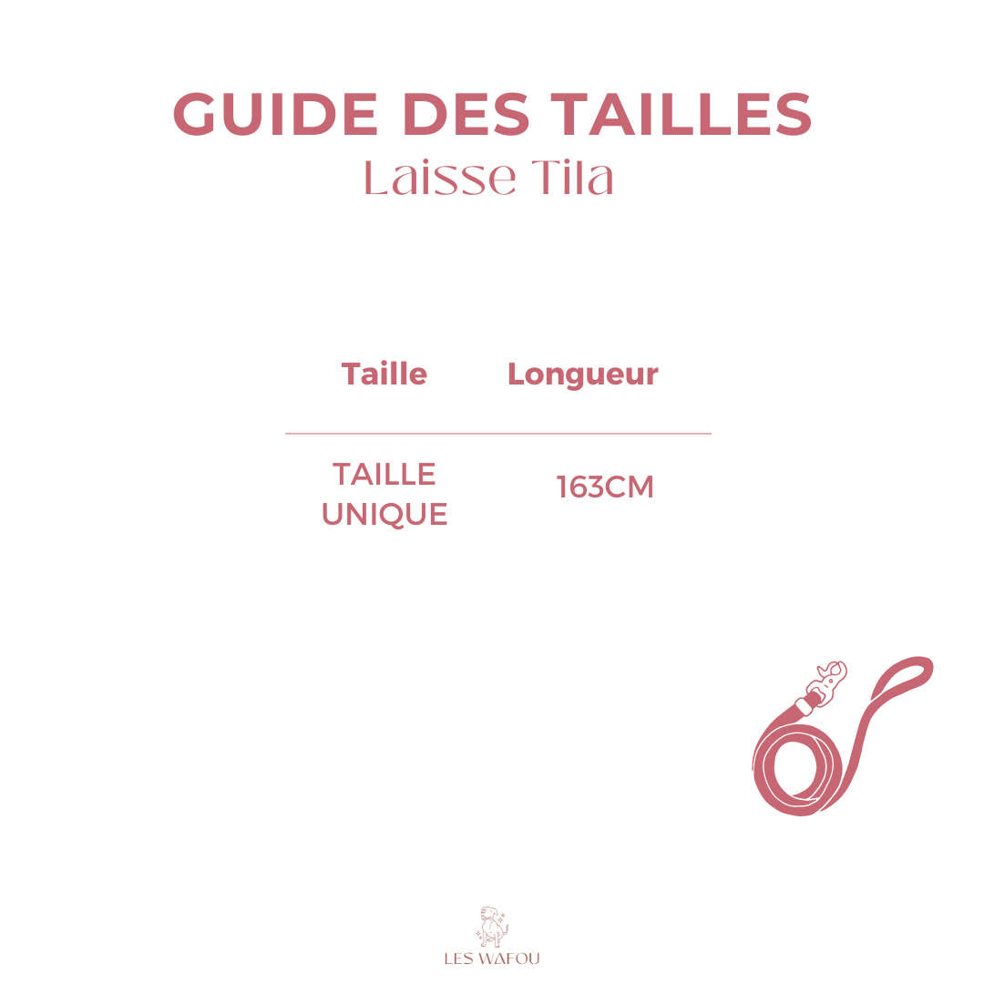 Laisse pour chien - Lavande