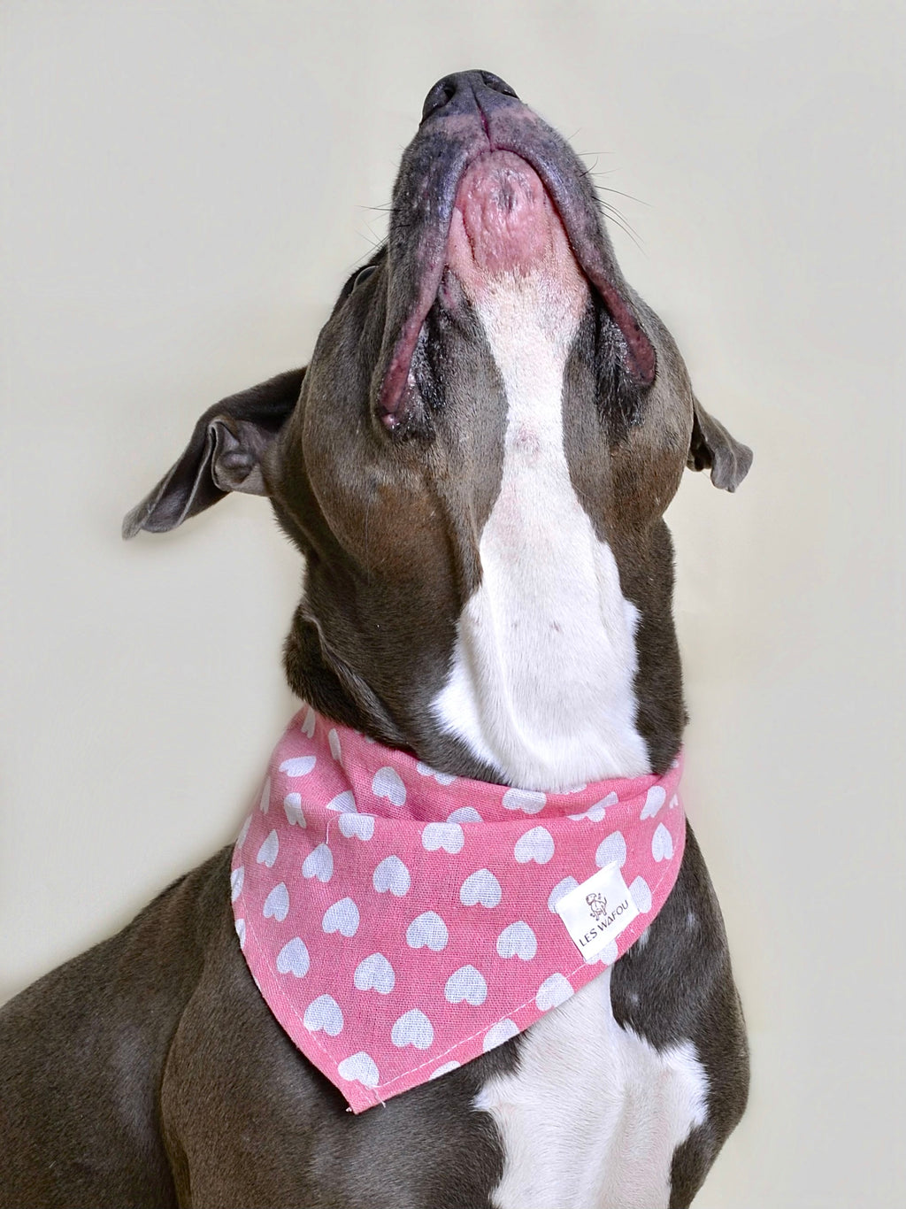 Bandana pour chien - Motif cœurs