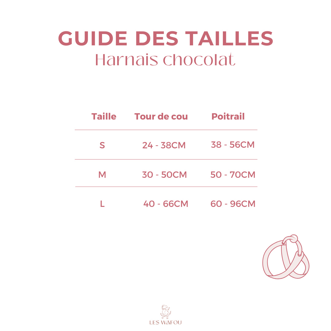 Teddy - Harnais chocolat