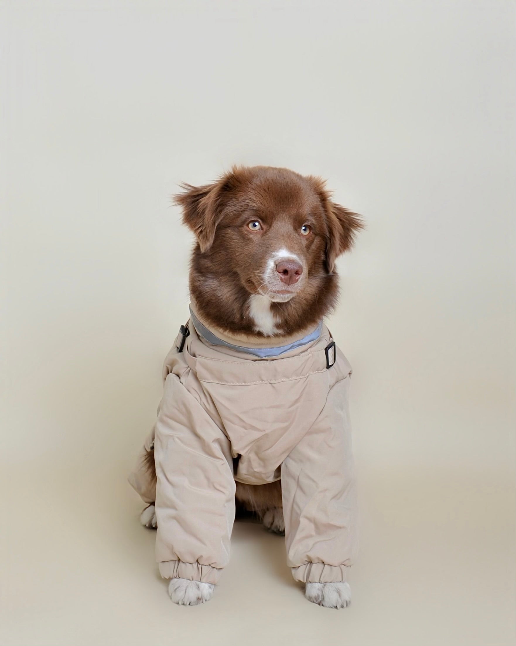 Doudoune pour chien - Beige (petit et moyen chien)