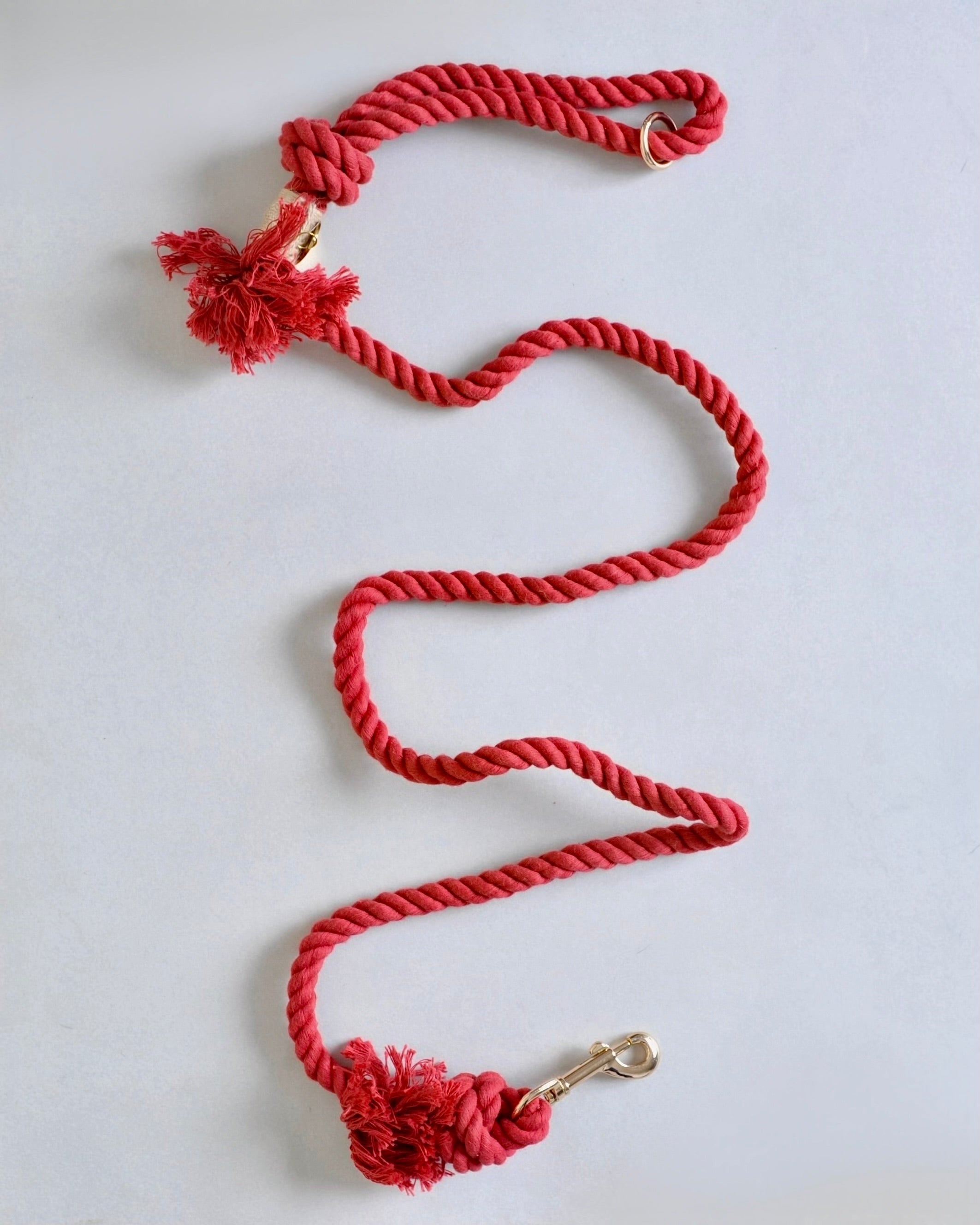 Laisse pour chien - Rouge