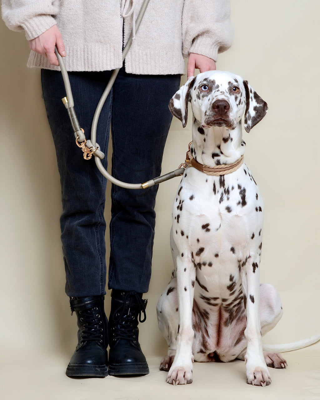 Laisse multi-positions pour chien - Grise