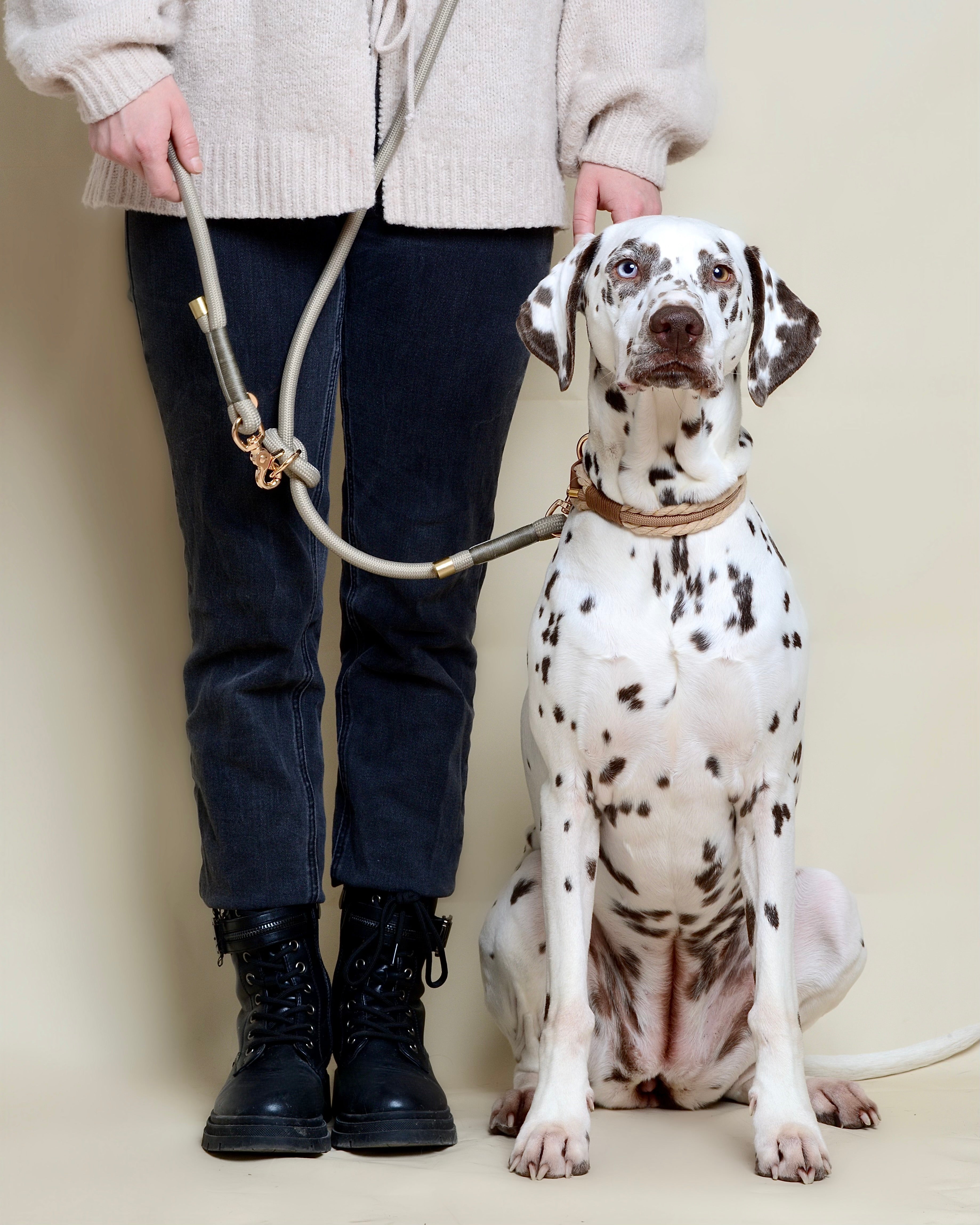 Laisse multi-positions pour chien - Grise
