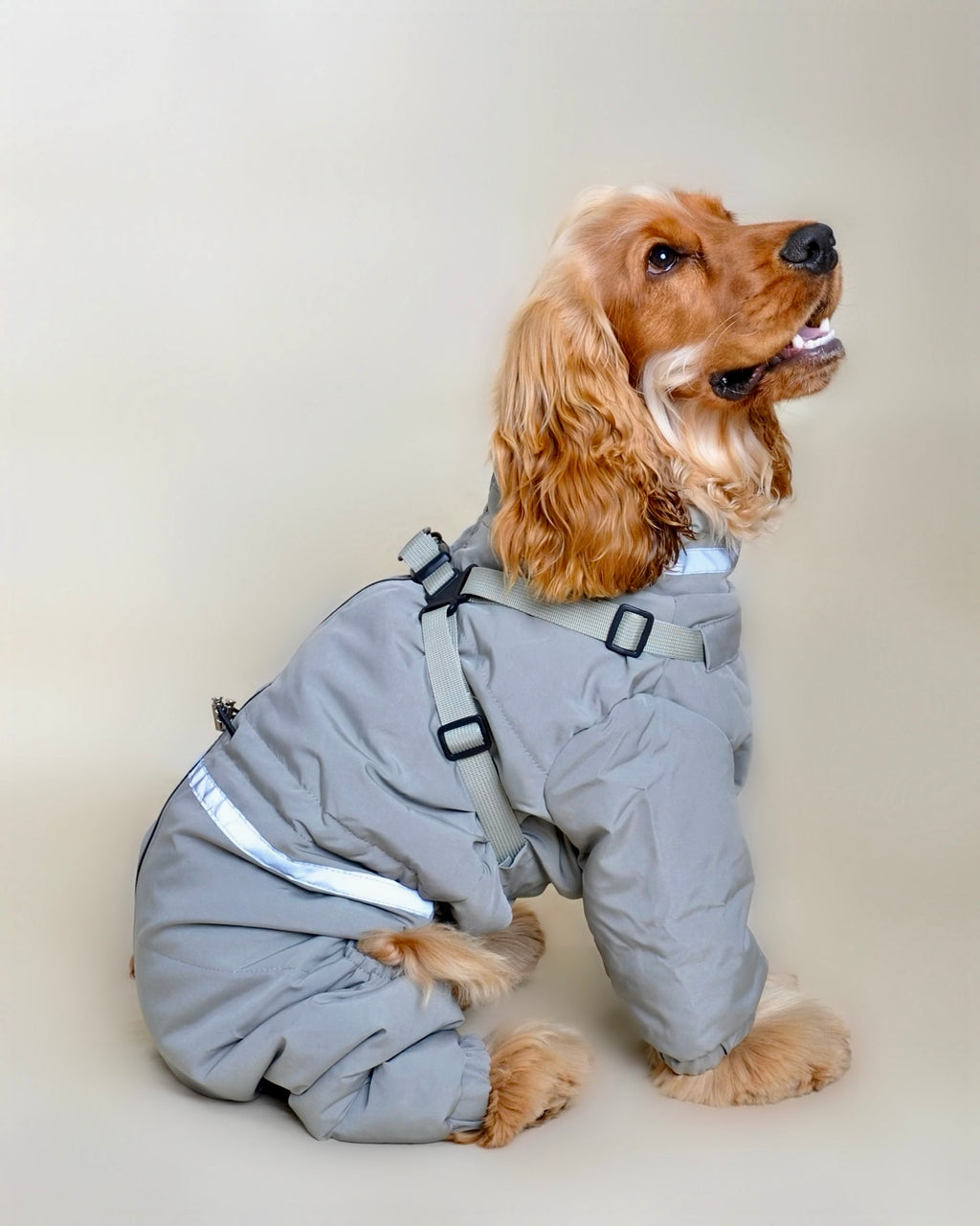 Doudoune pour chien - Vert eau (petit et moyen chien)