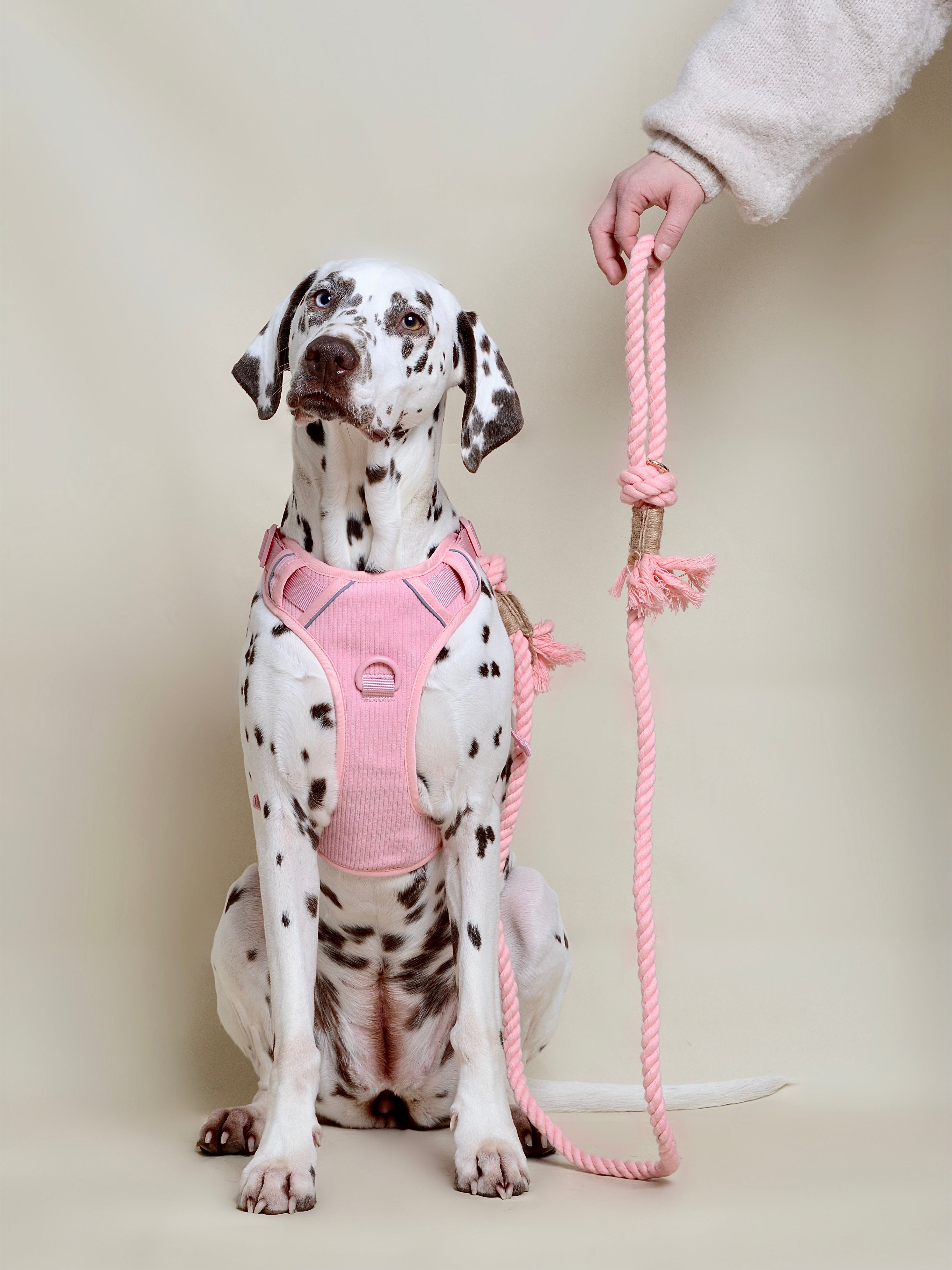 Harnais pour chien + sac à dos - Rose