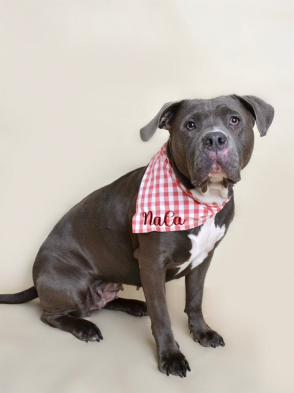 Bandana personnalisable - Rouge