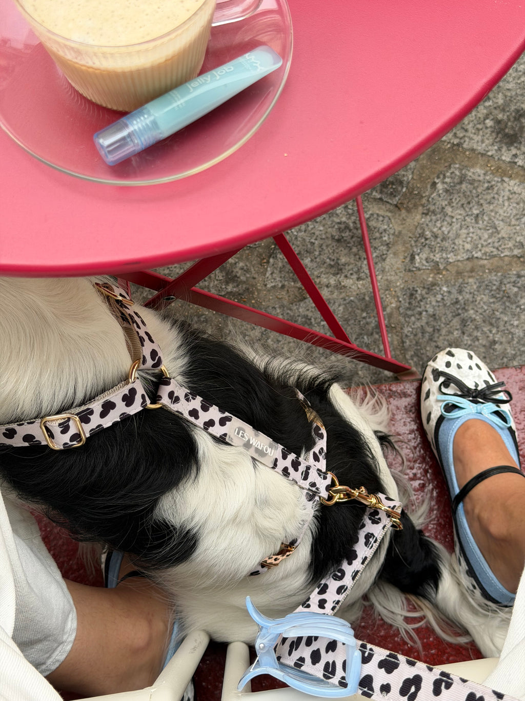 Harnais pour chien - Dalma