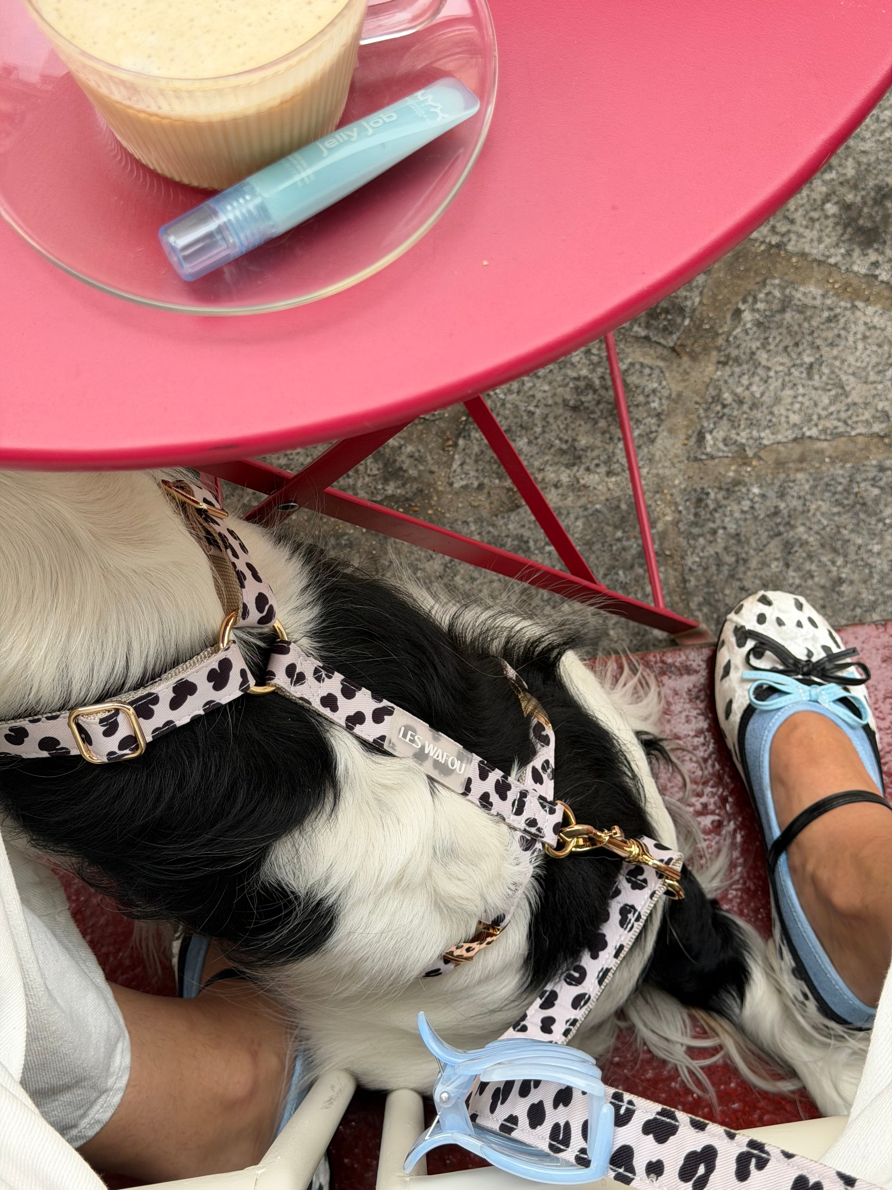 Harnais pour chien - Dalma