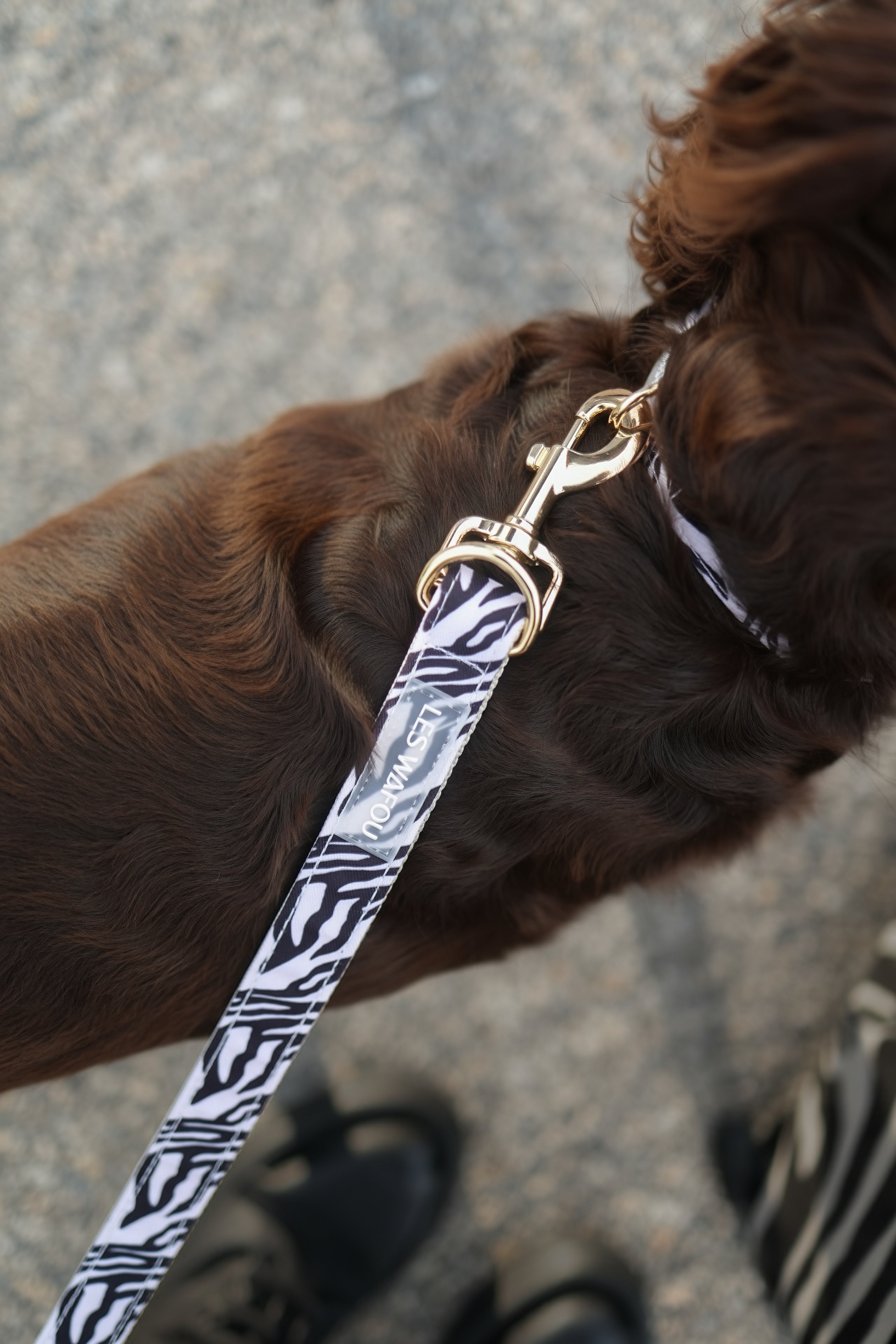 Laisse multi-positions pour chien - Zébra