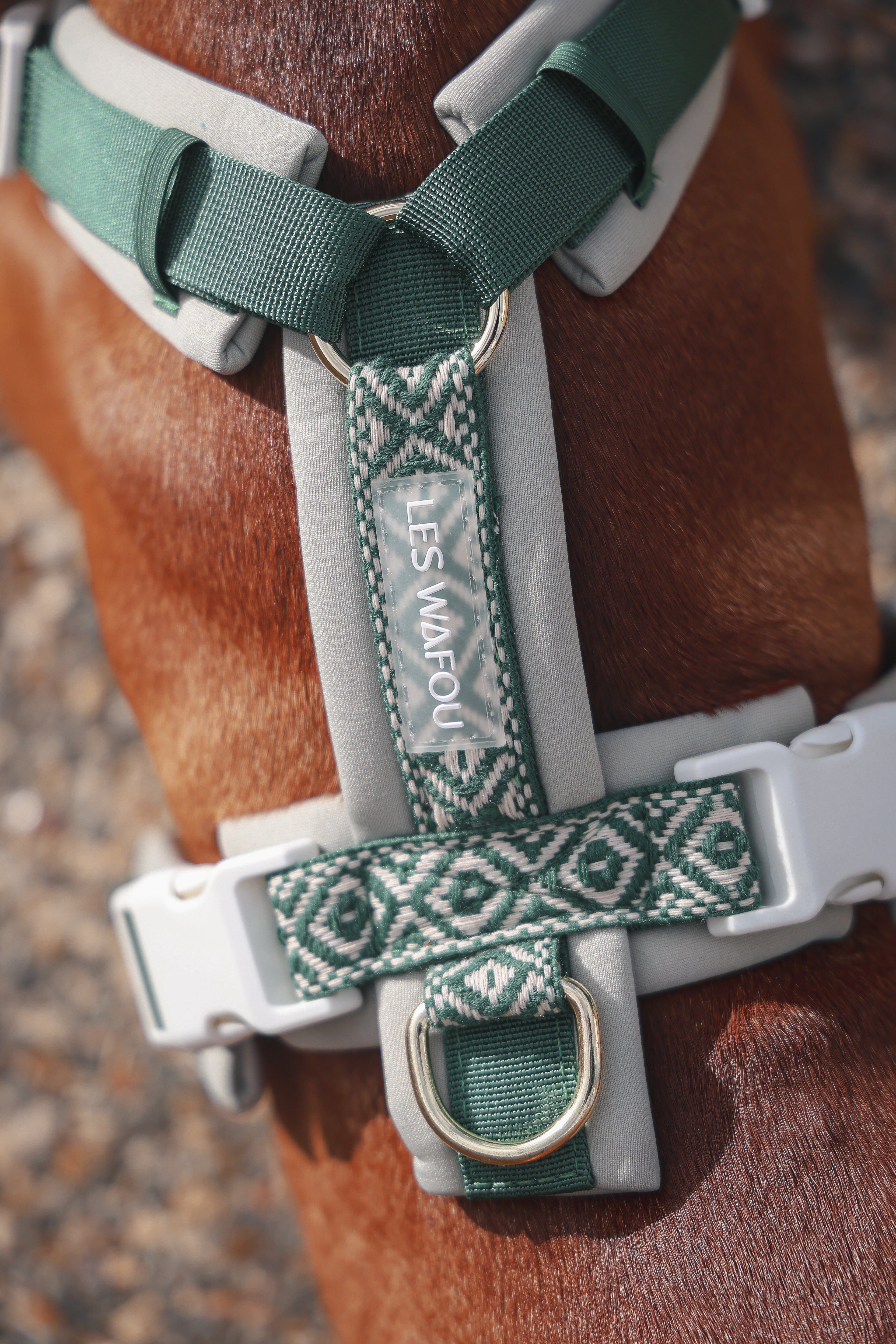 Harnais pour chien - Vert foncé