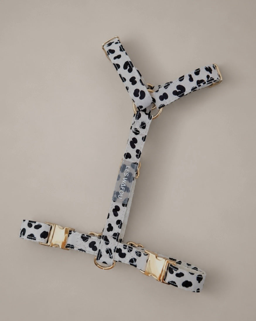 Harnais pour chien - Dalma
