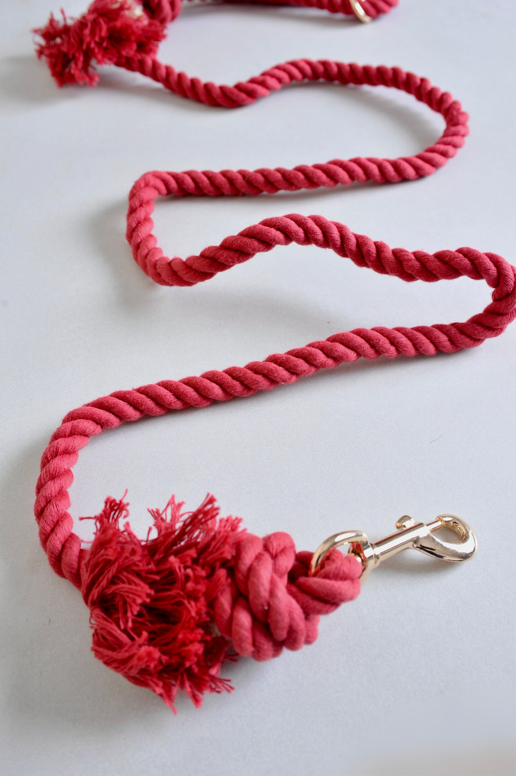 Laisse pour chien - Rouge