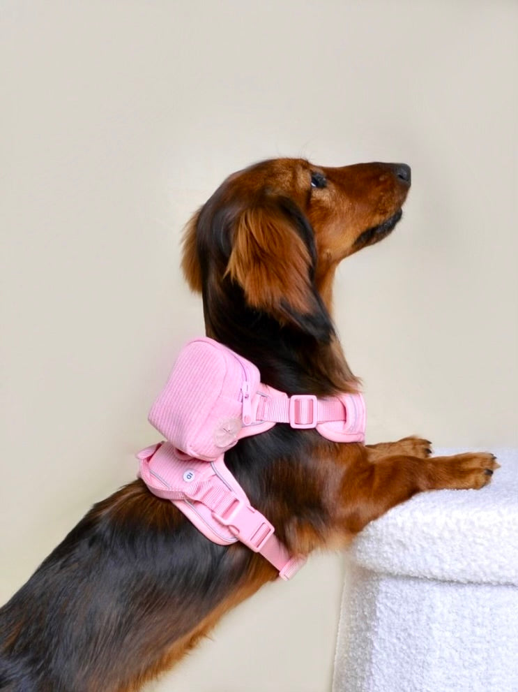Harnais pour chien + sac à dos - Rose