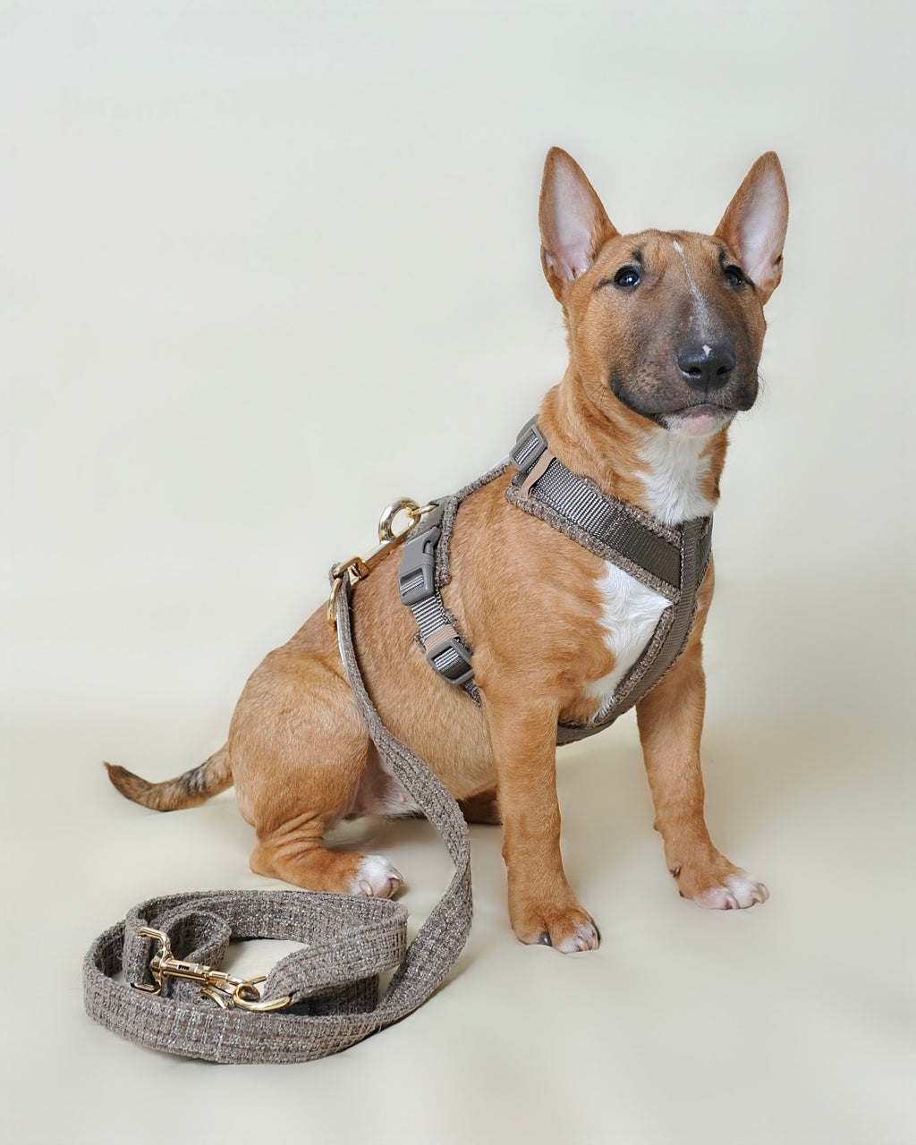 Laisse multi-positions pour chien - Taupe