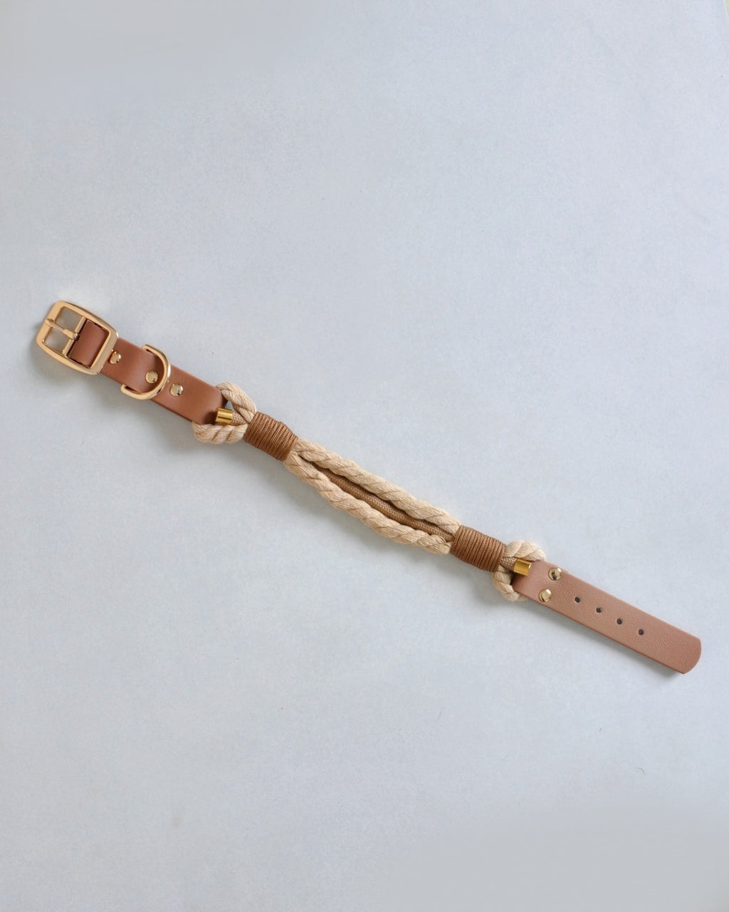 Collier tressé pour chien - Beige