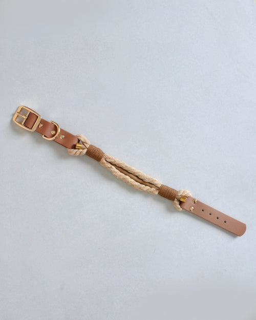 Collier tressé pour chien - Beige