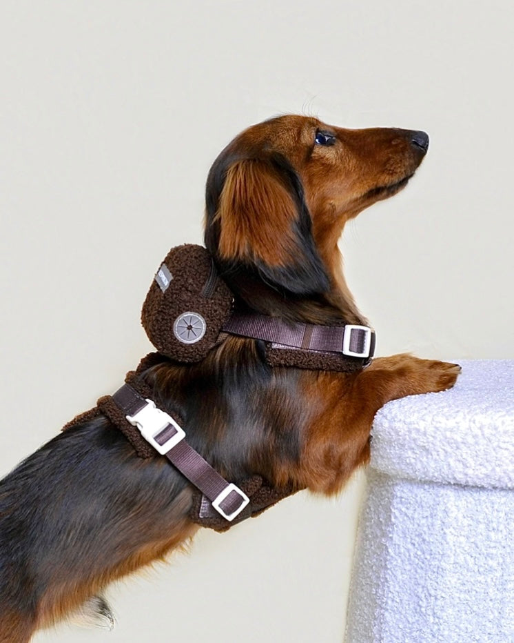 Harnais moumoute chien + sac à dos - Chocolat