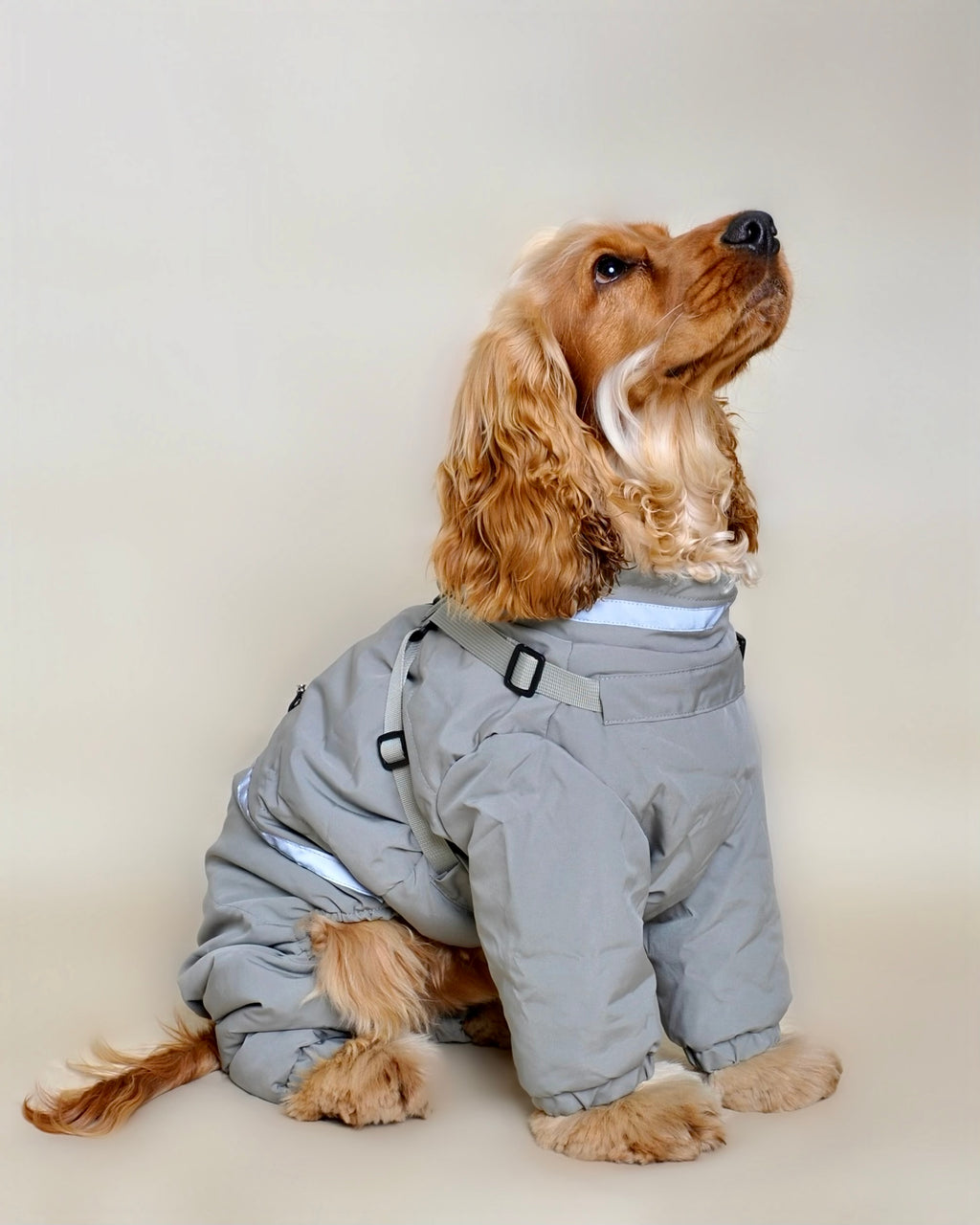 Doudoune pour chien - Vert eau (petit et moyen chien)