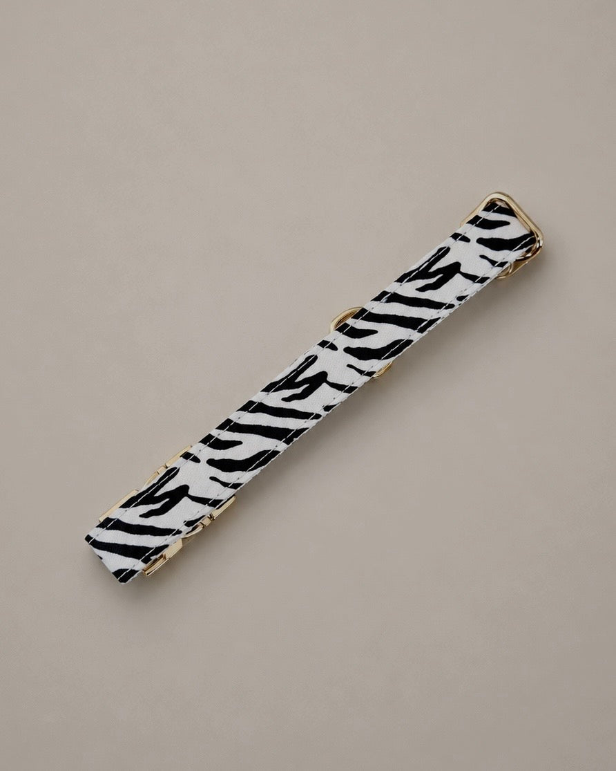 Collier pour chien - Zébra