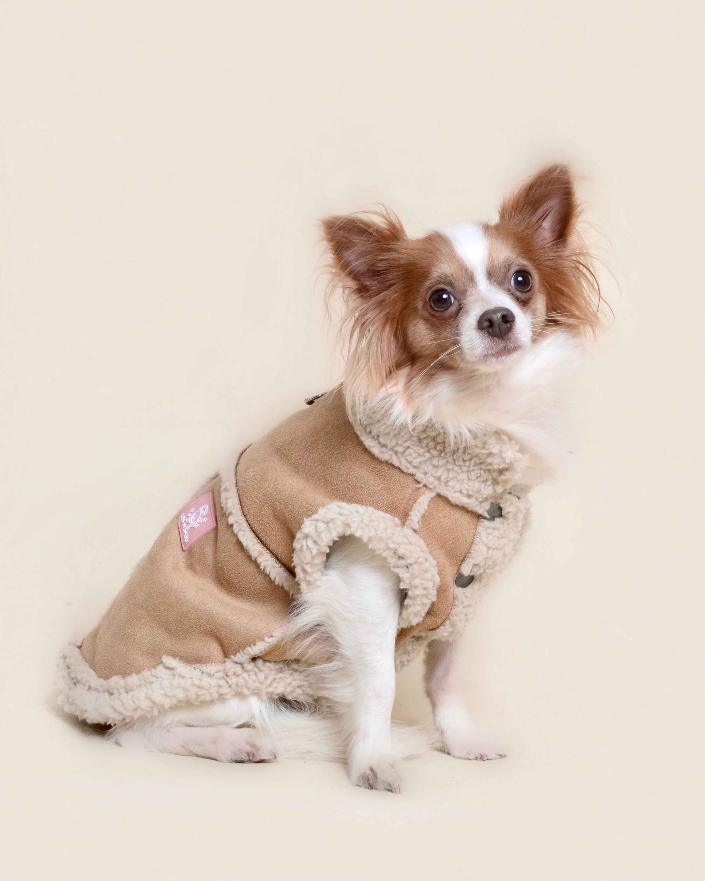 Manteau pour chien - Camel (spécial petit chien)