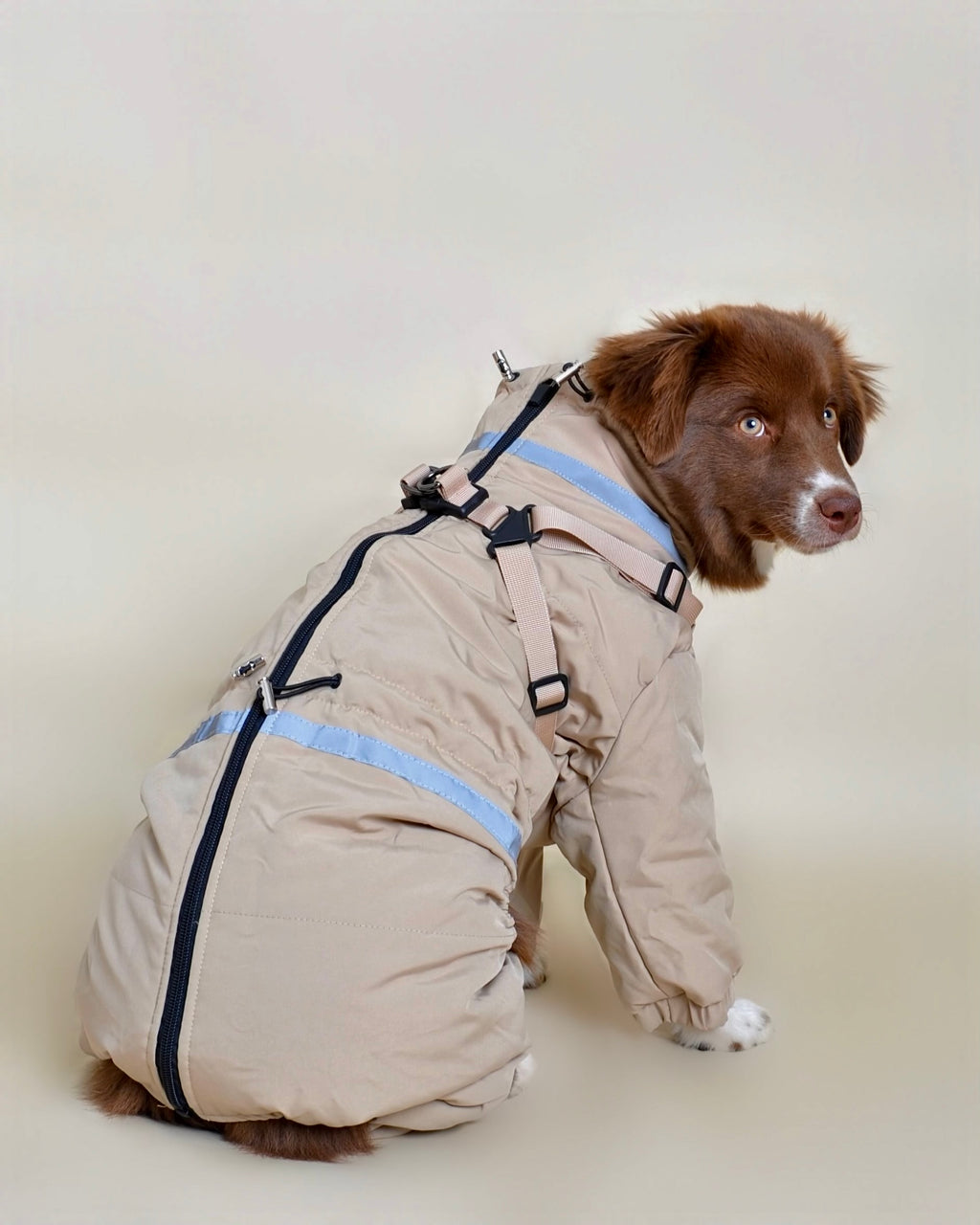 Doudoune pour chien - Beige (petit et moyen chien)