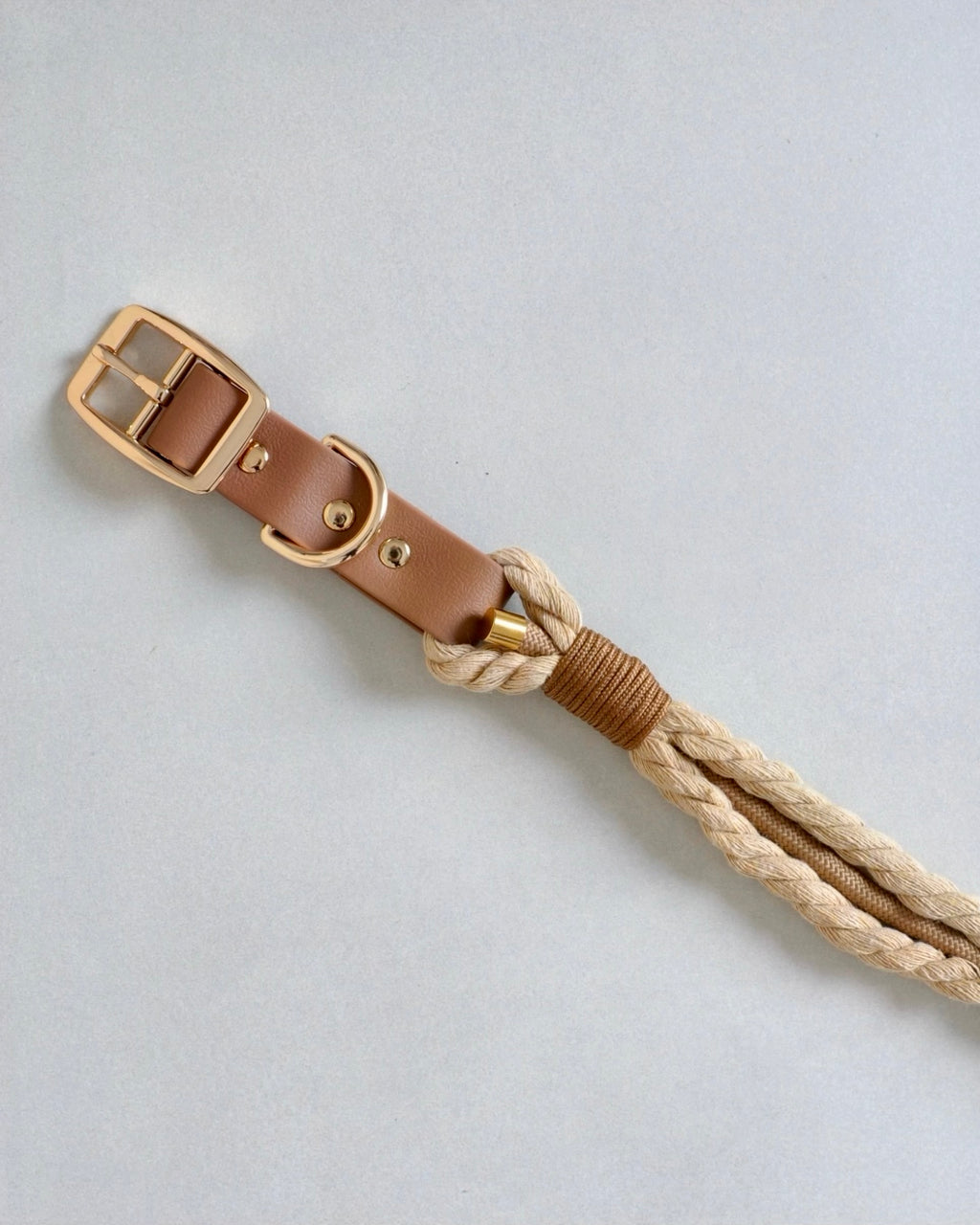 Collier tressé pour chien - Beige