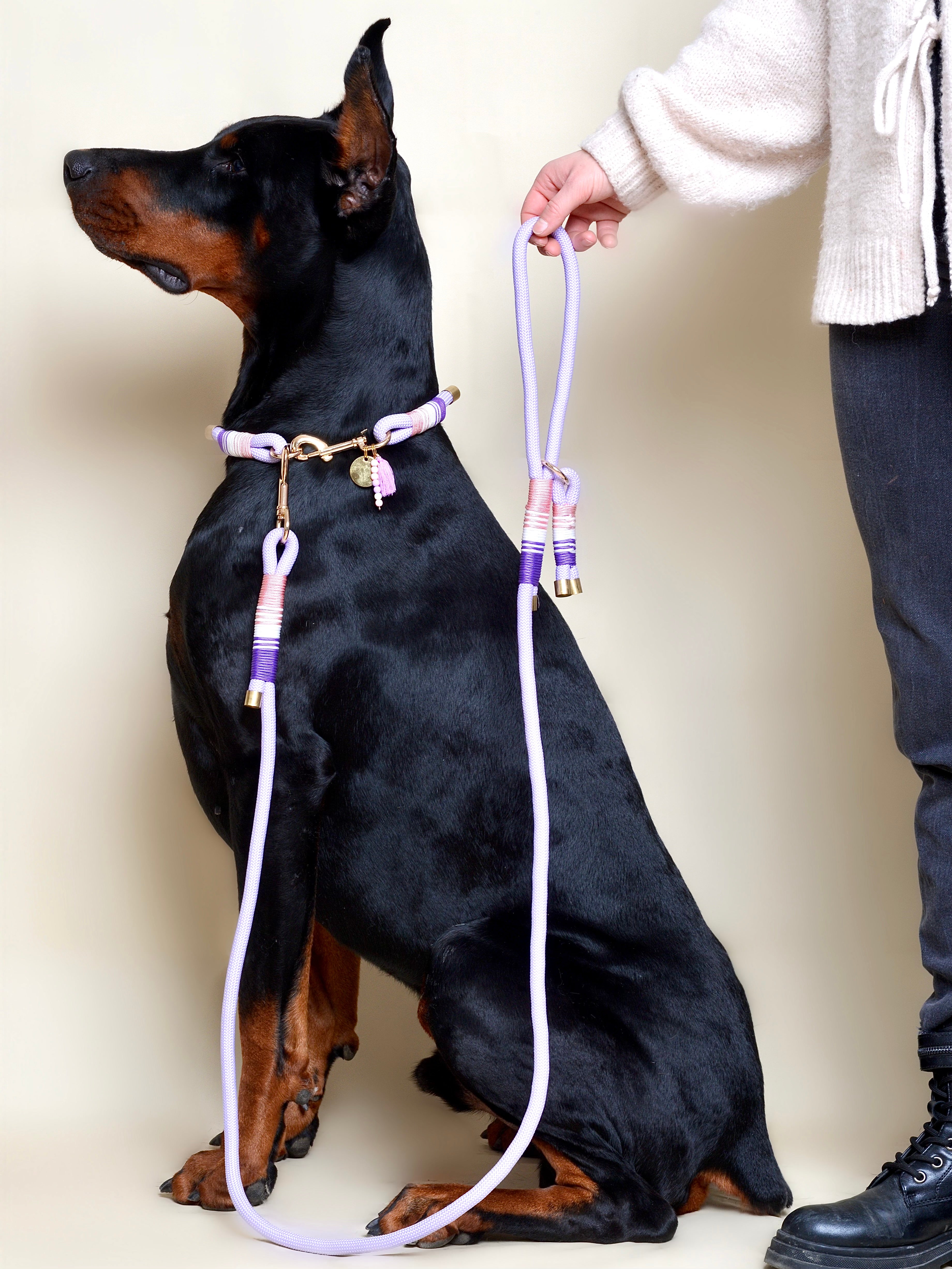 Laisse pour chien - Lavande