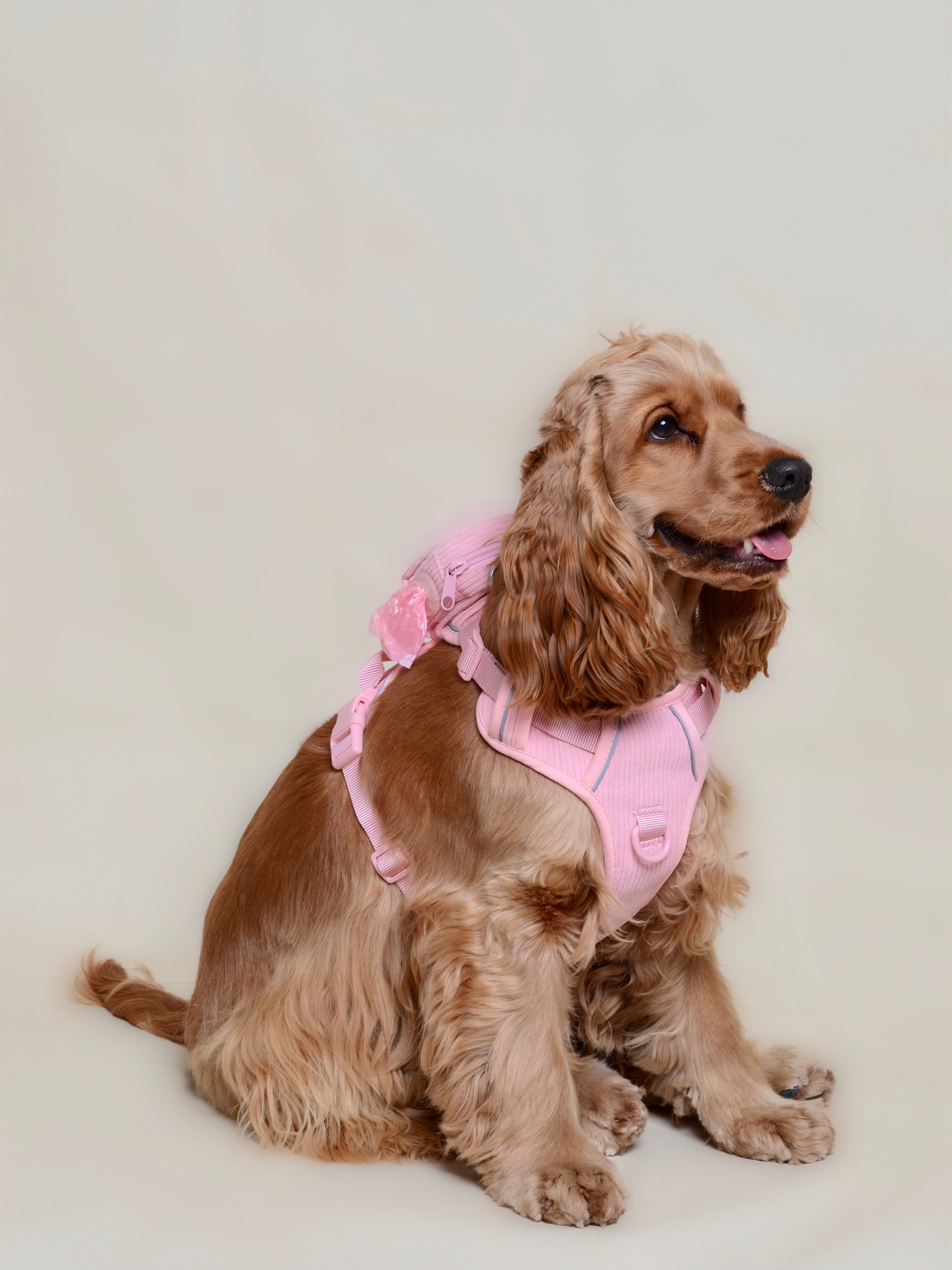 Distributeur de sacs pour chien - Rose