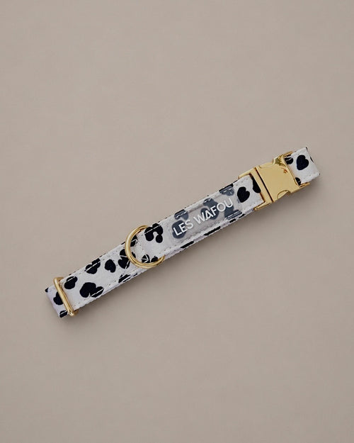 Collier pour chien - Dalma