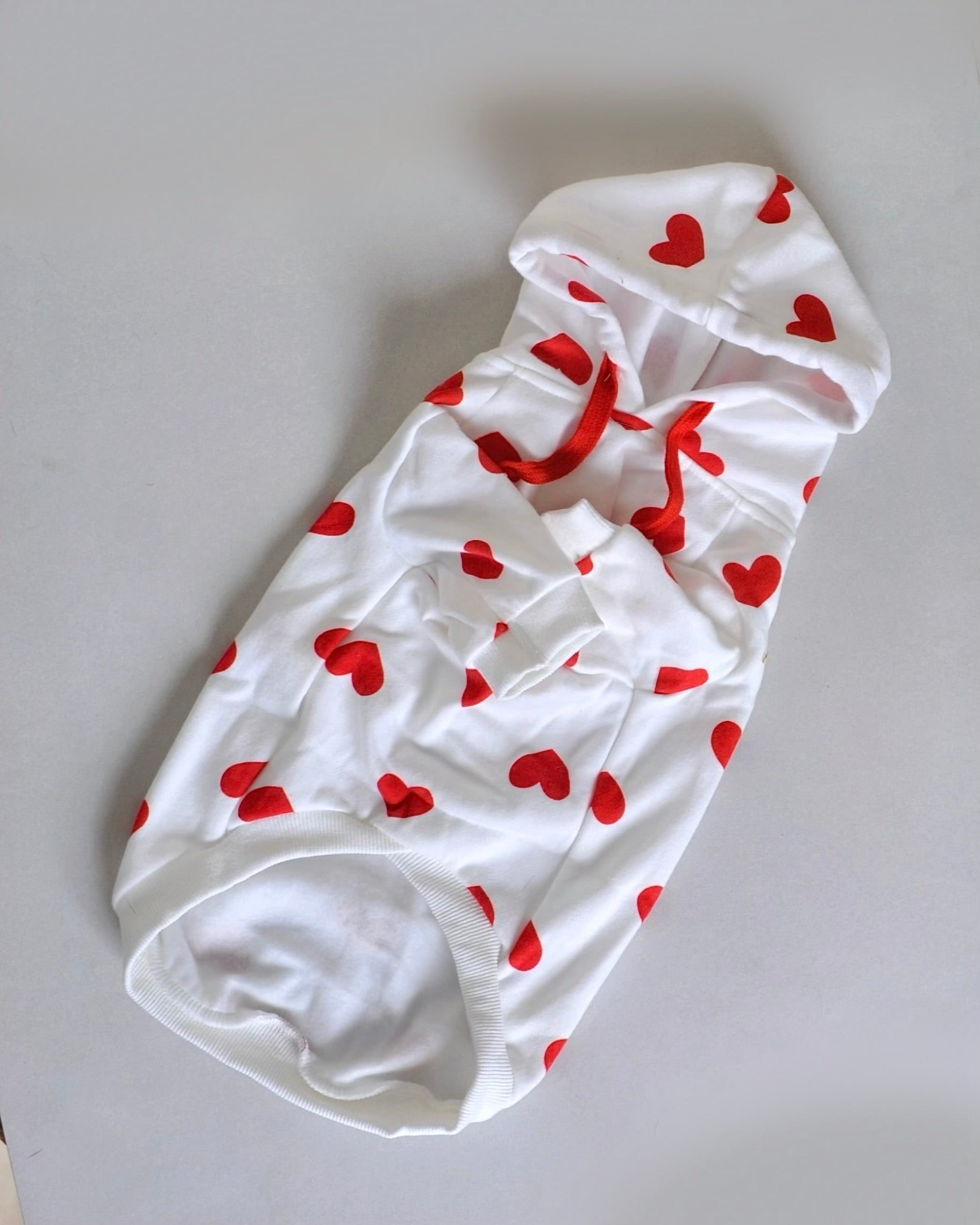 Pull à capuche pour chien - Chippie 💞