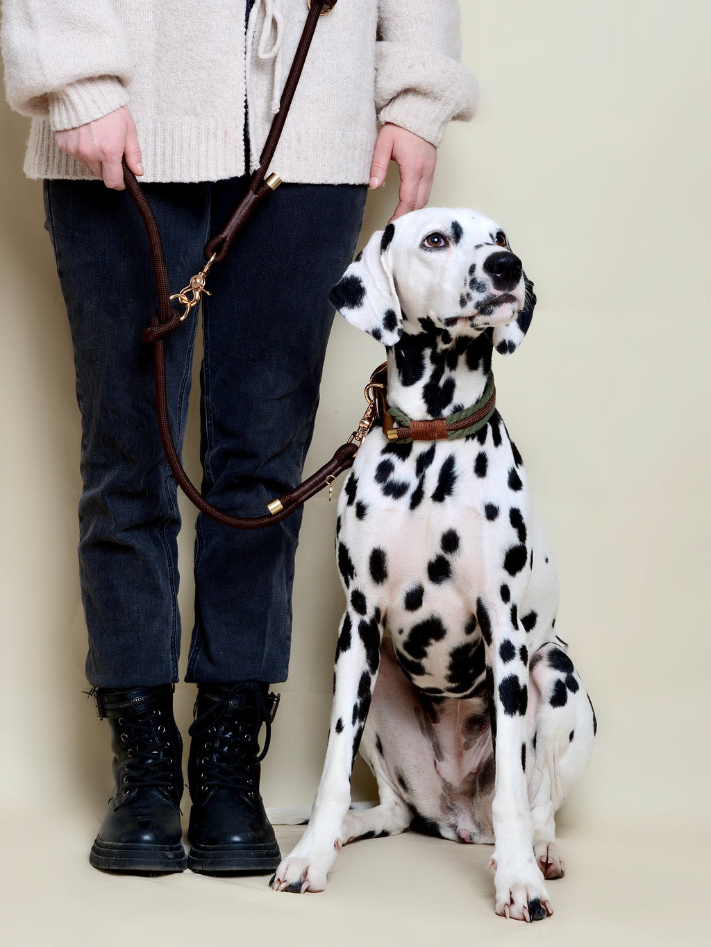 Collier tressé pour chien - Vert kaki