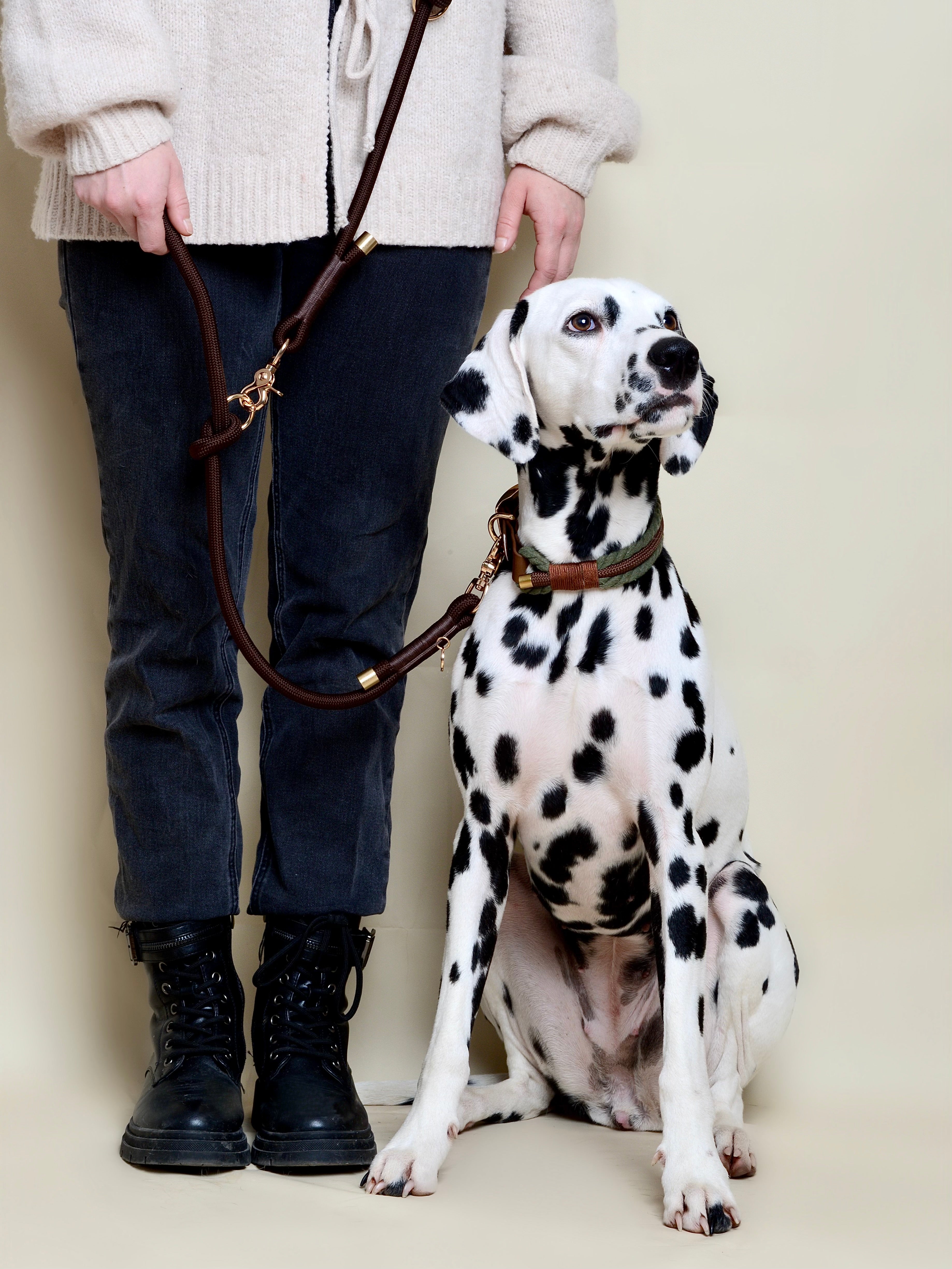 Collier tressé pour chien - Vert kaki