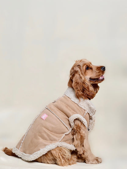 Teddy - Manteau café (spécial petit chien)