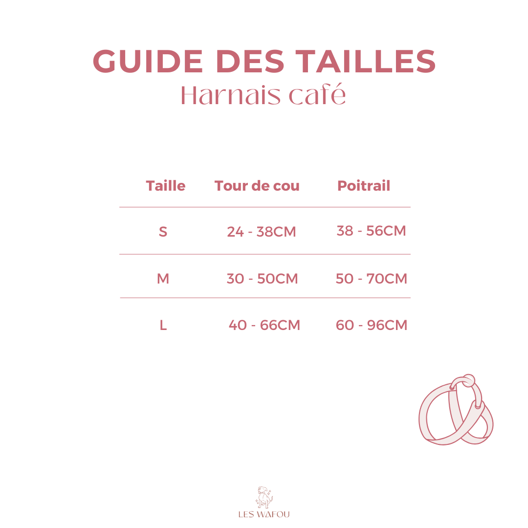 Teddy - Harnais café