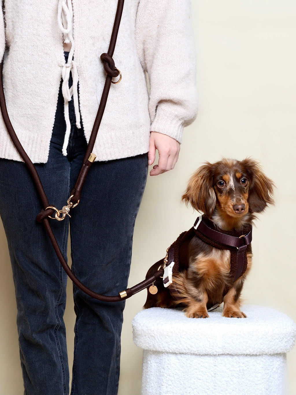 Laisse multi-positions pour chien - Marron