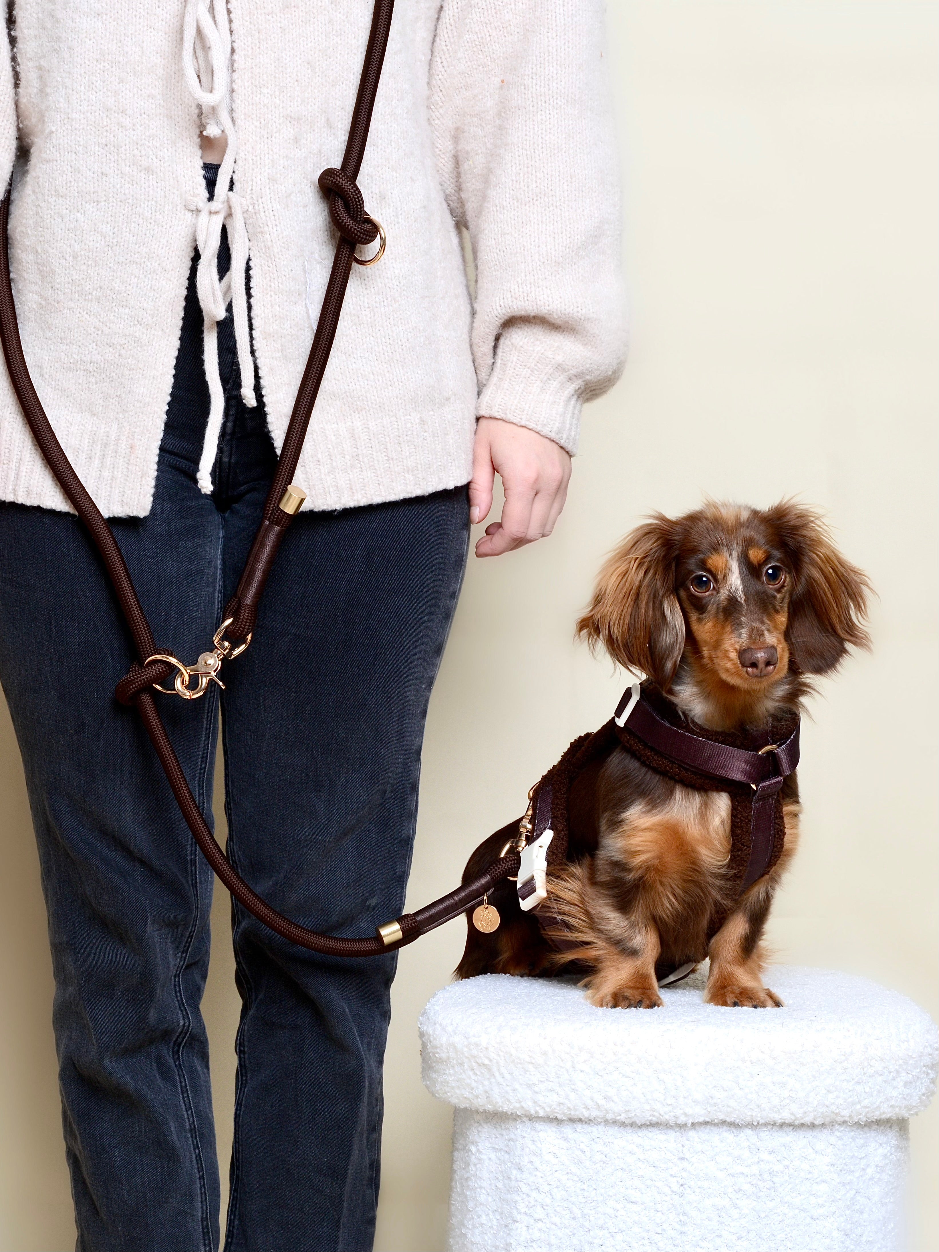 Laisse multi-positions pour chien - Marron